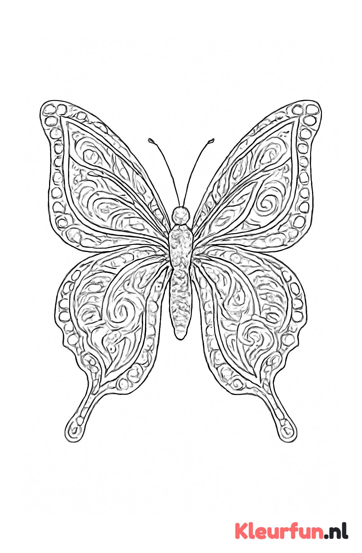 Symmetrische vlinder patronen