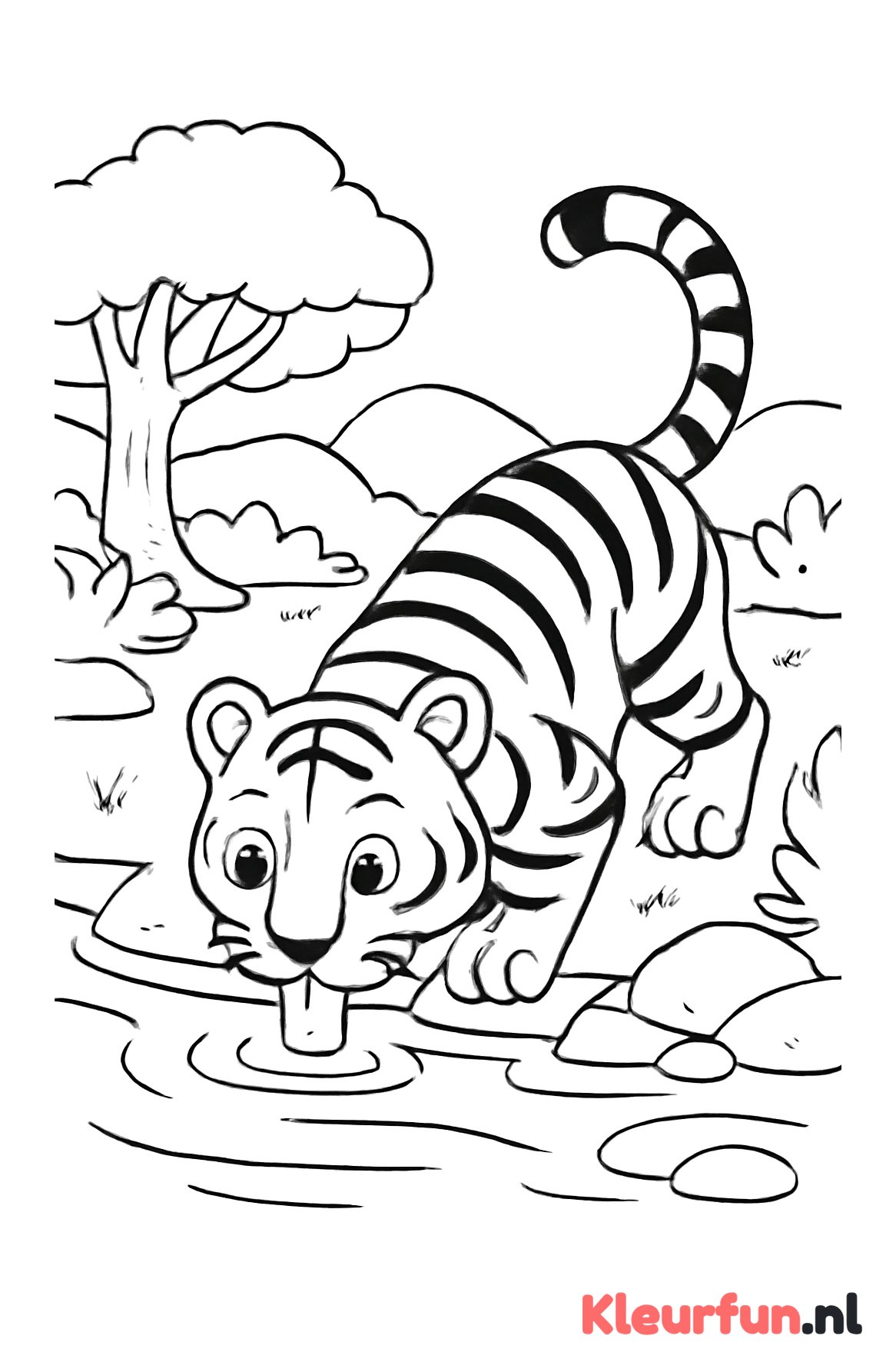 Tijger bij de rivier