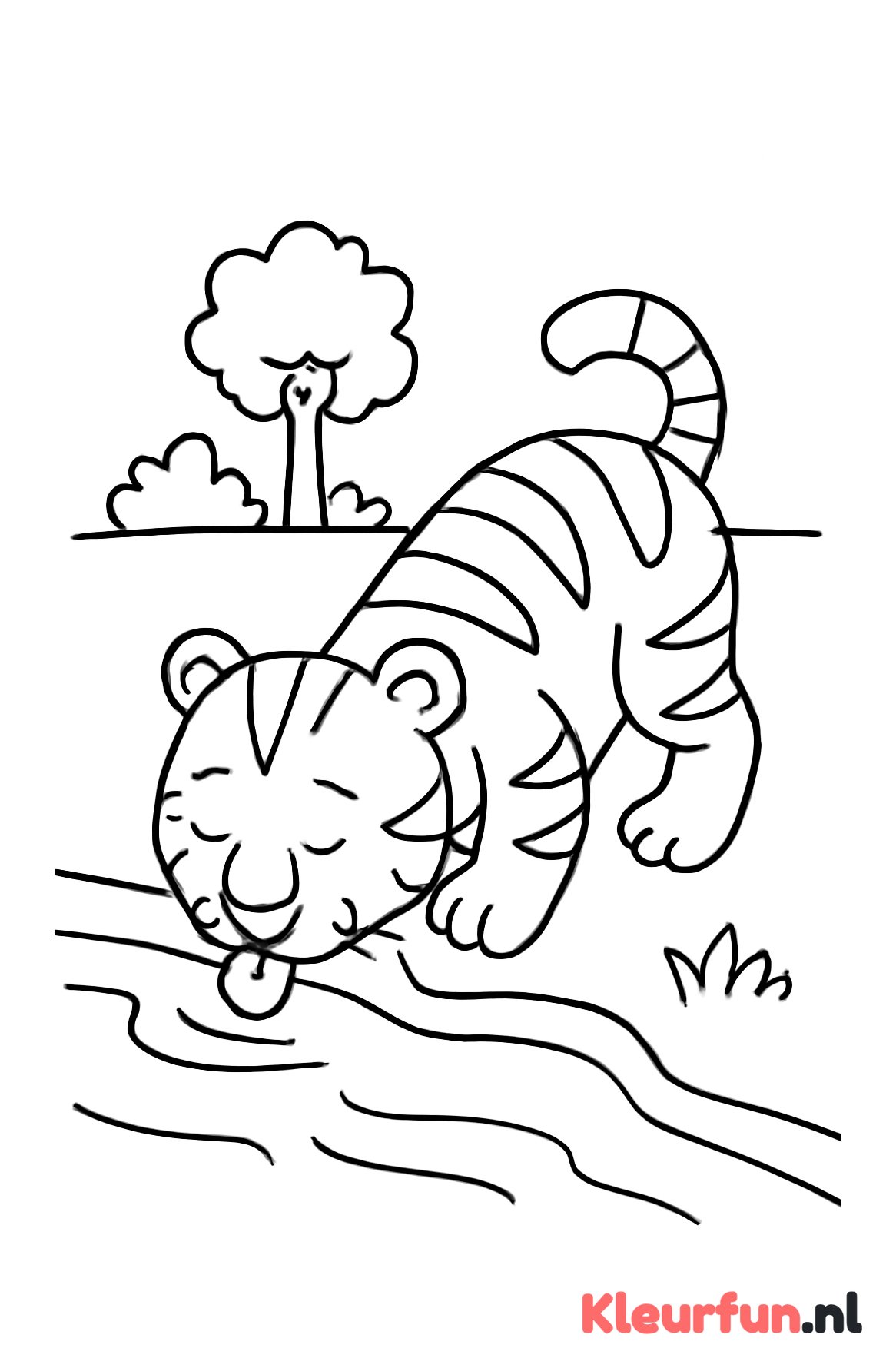 Tijger die drinkt bij de rivier