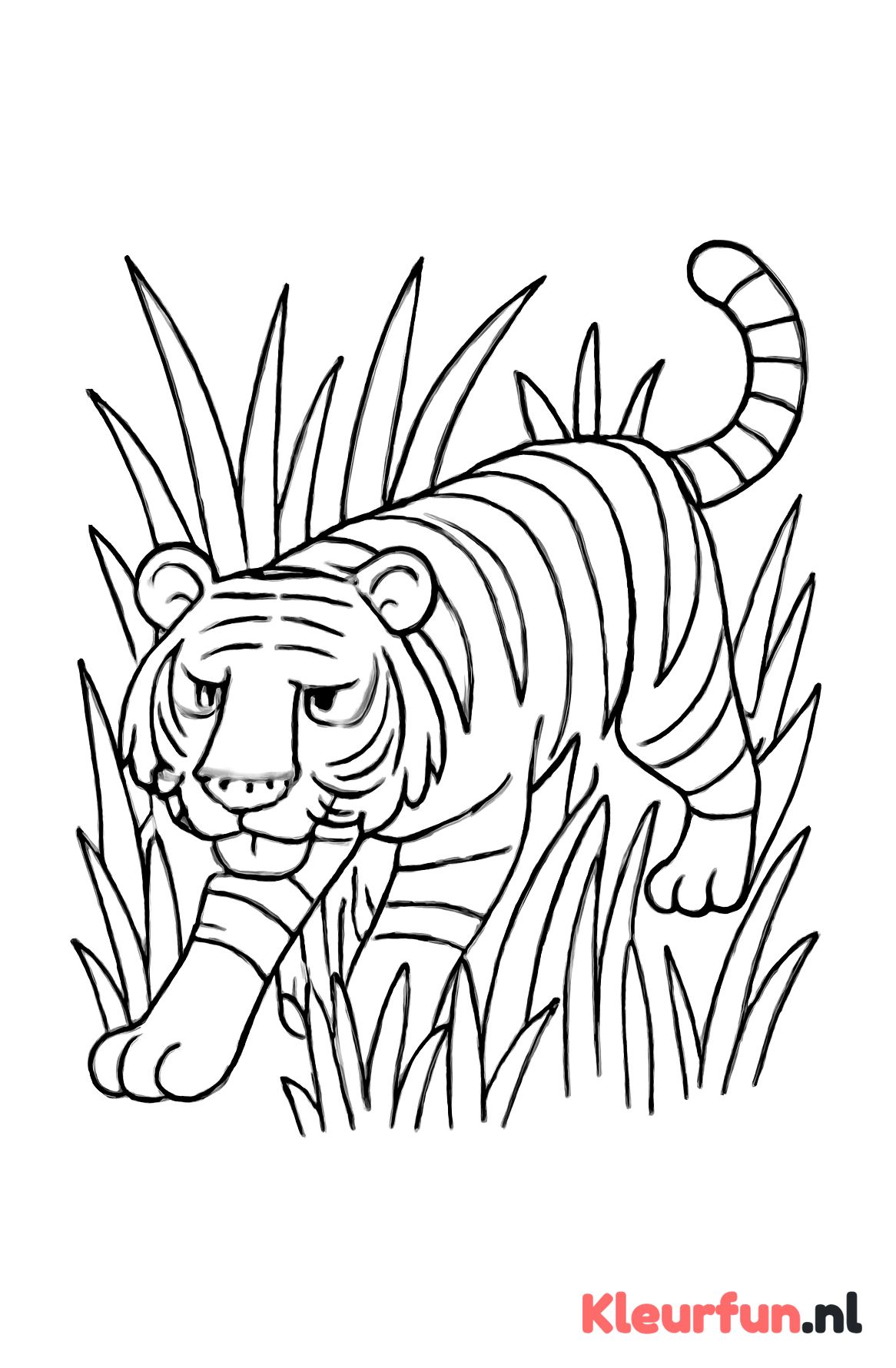 Tijger sluipt door het gras