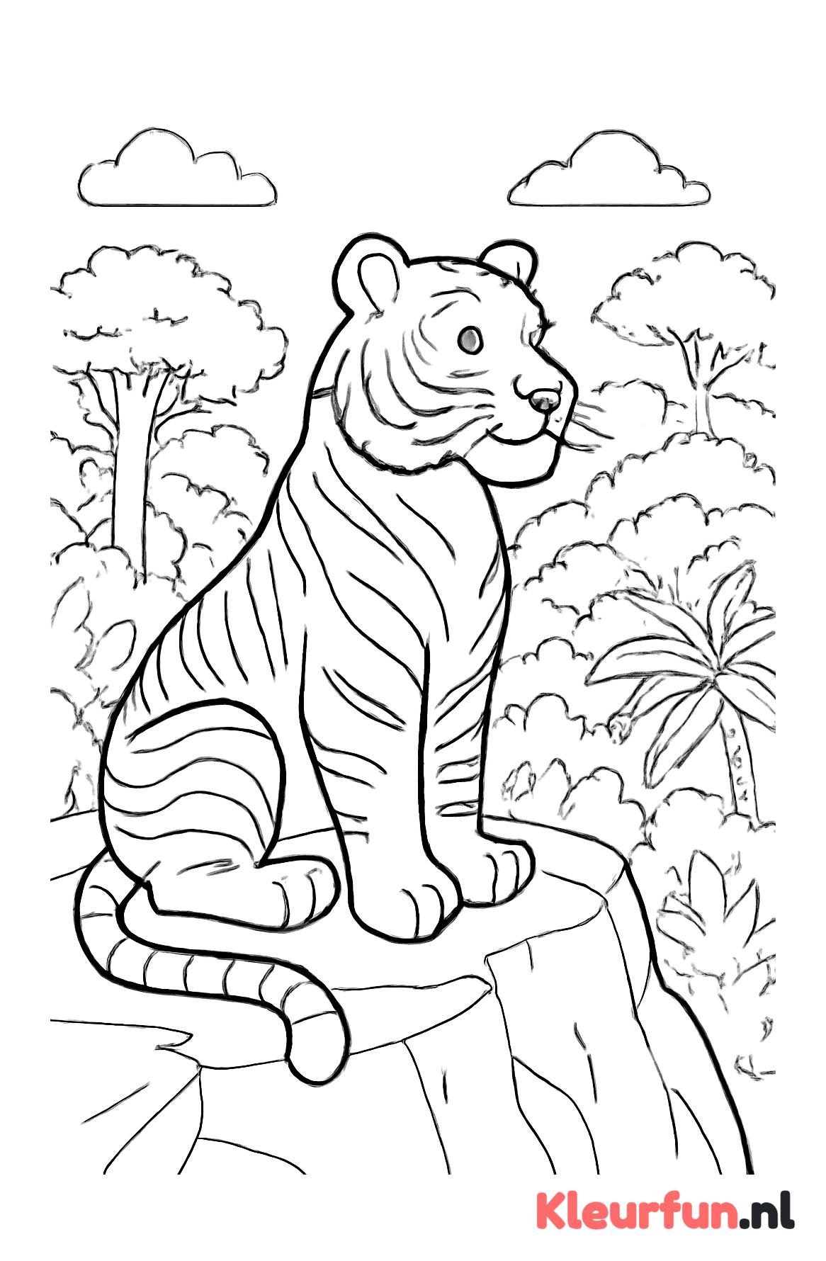 Tijger op Rots