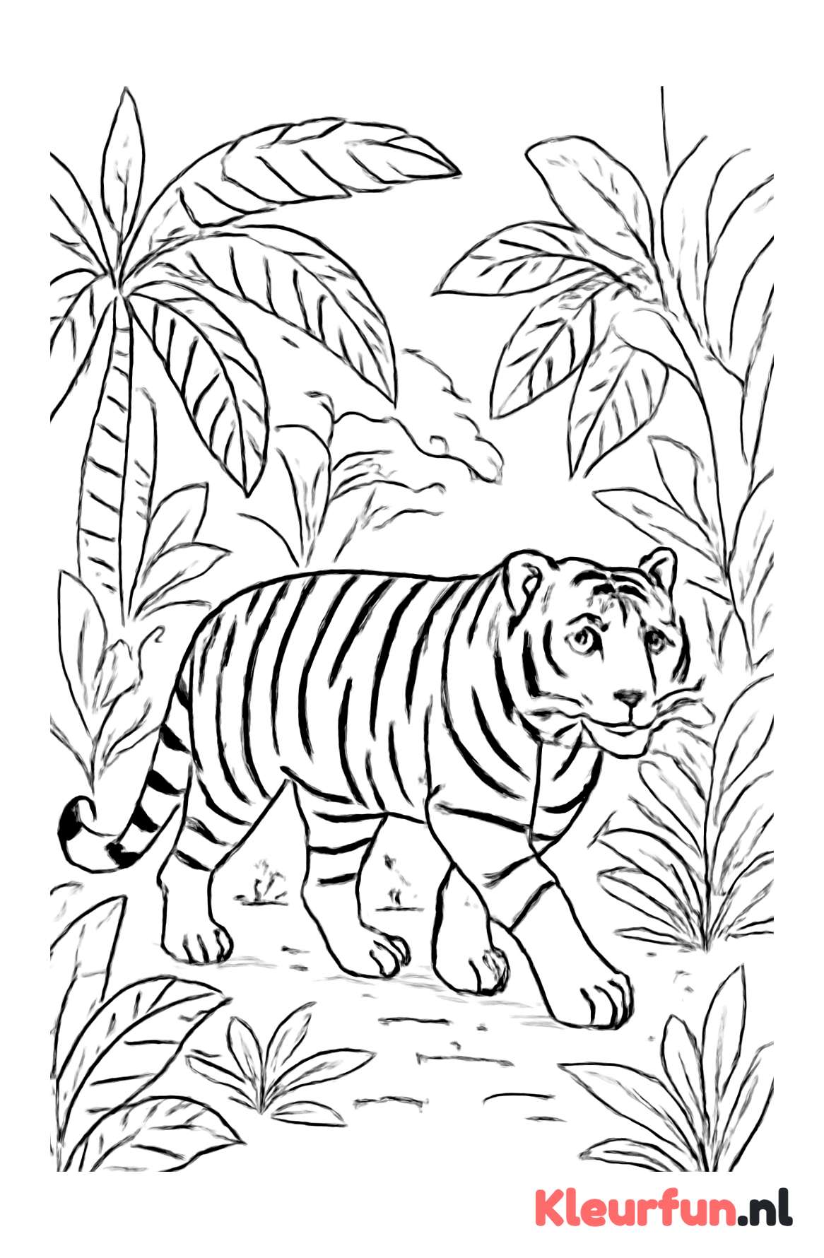 Tijger op Wandeling