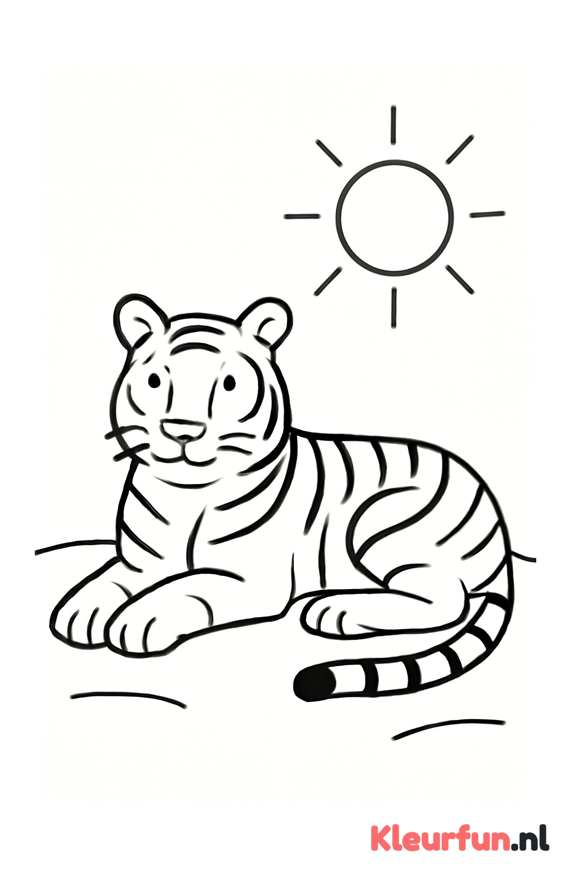 Tijger die in de zon rust