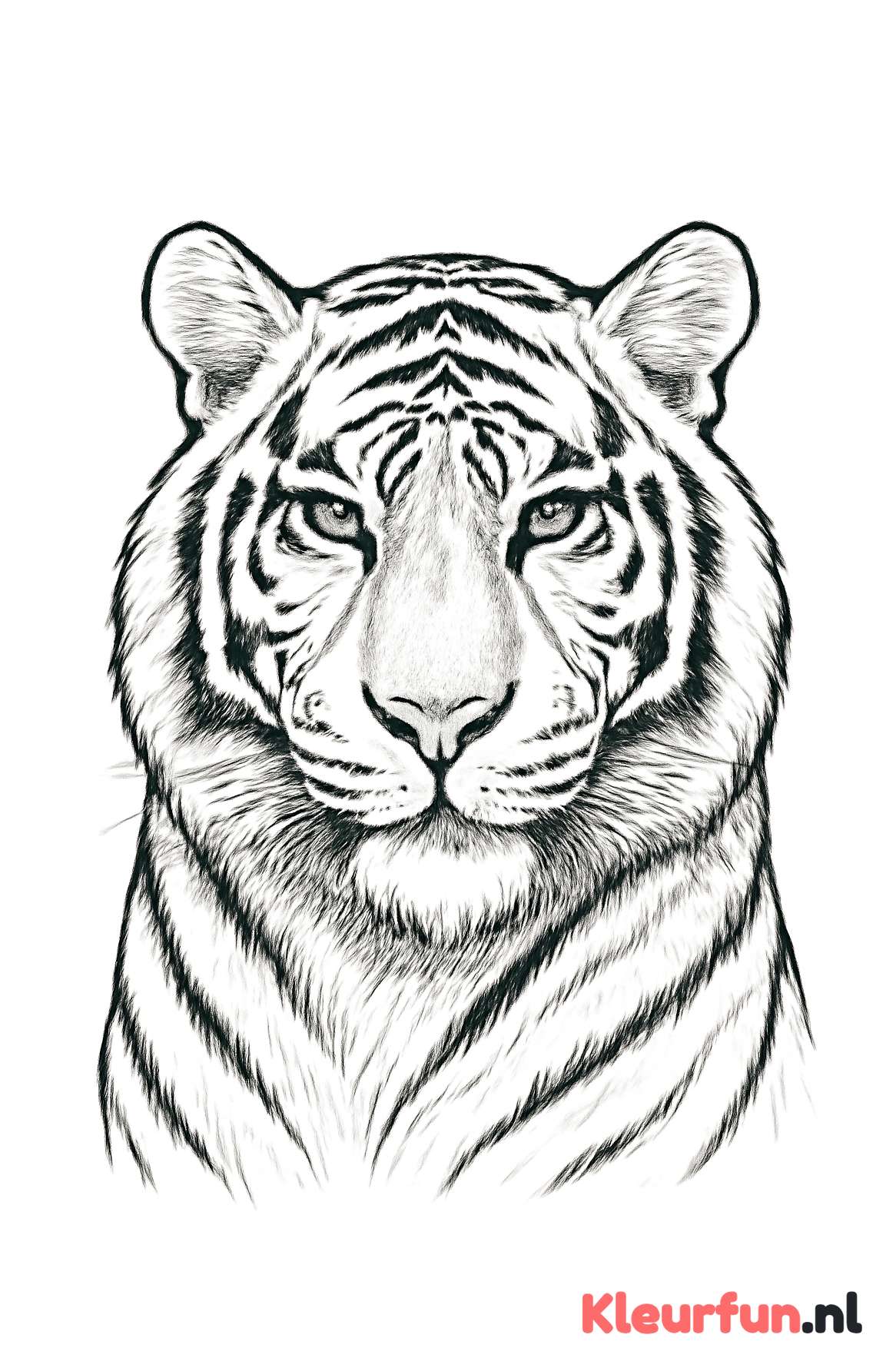 Close-up tijger gezicht
