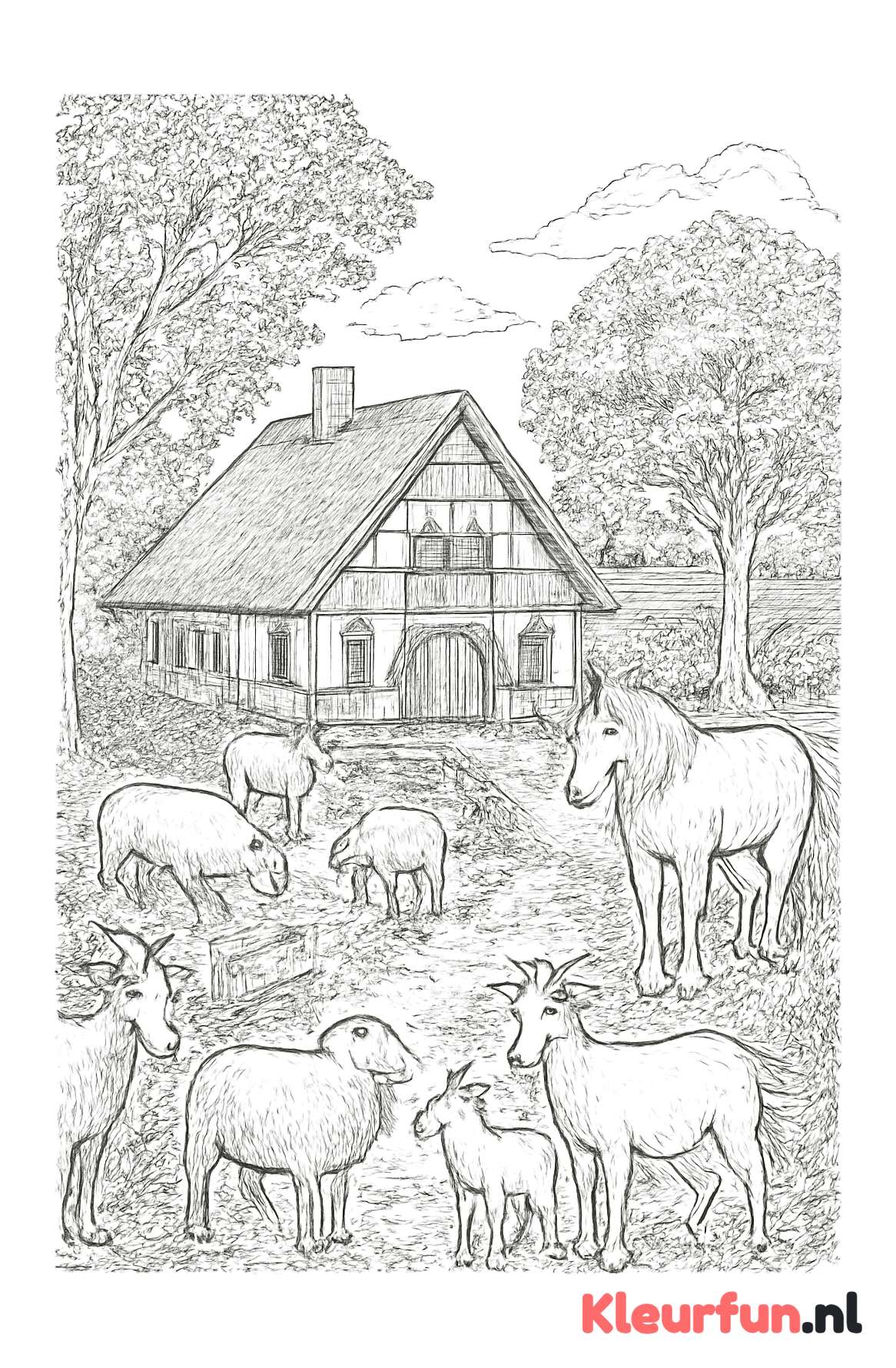 Traditionele Boerderij met Schapen, Geiten en Paard