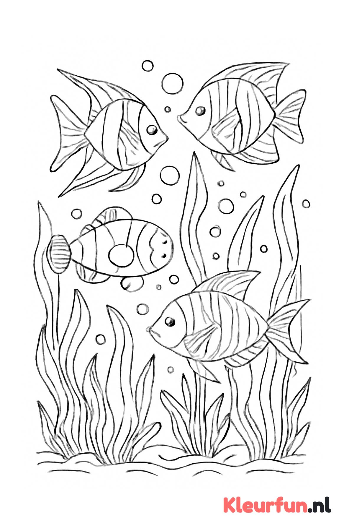 Tropische vissen in exotisch water
