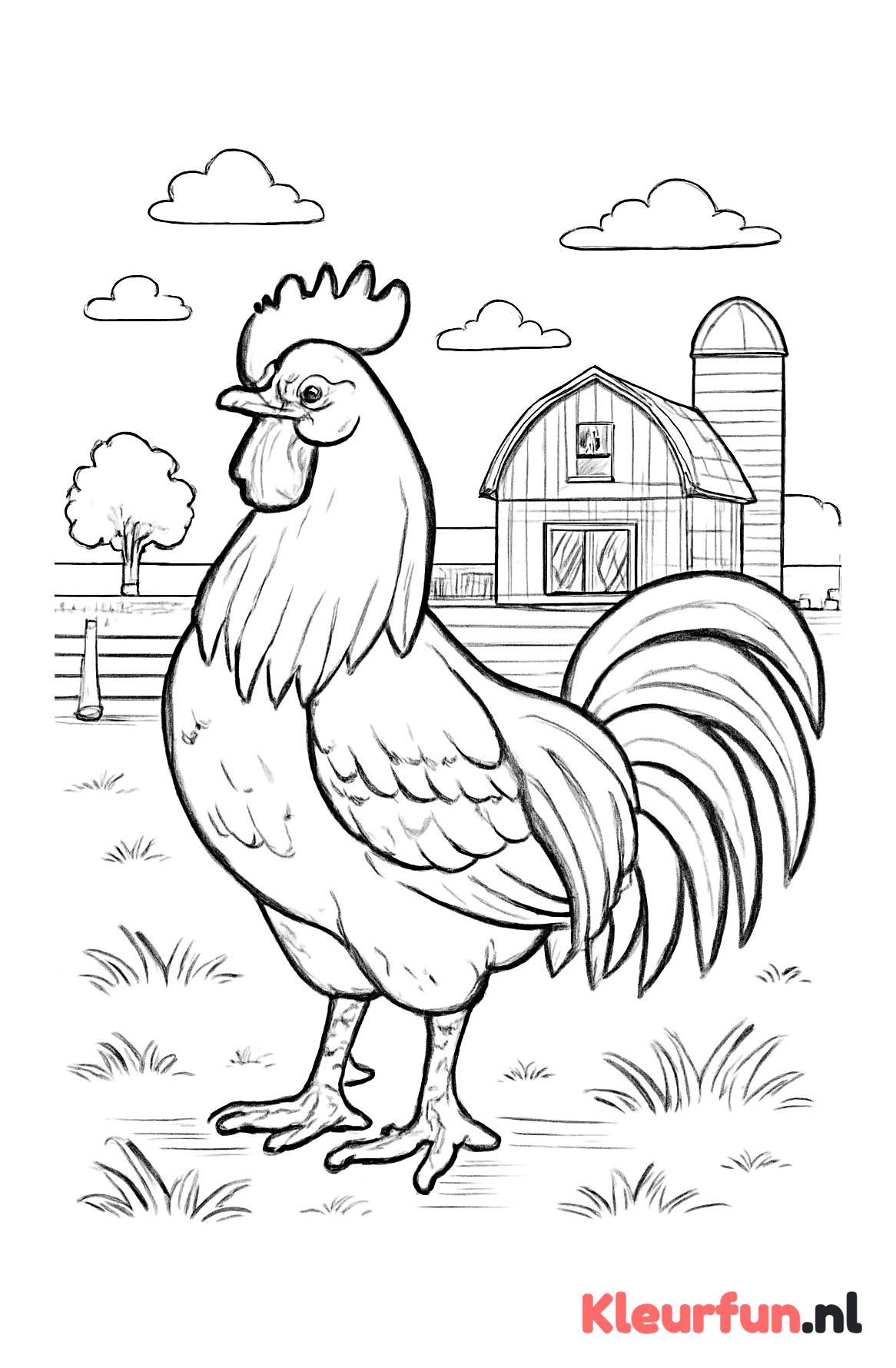 Trotse haan op de boerderij
