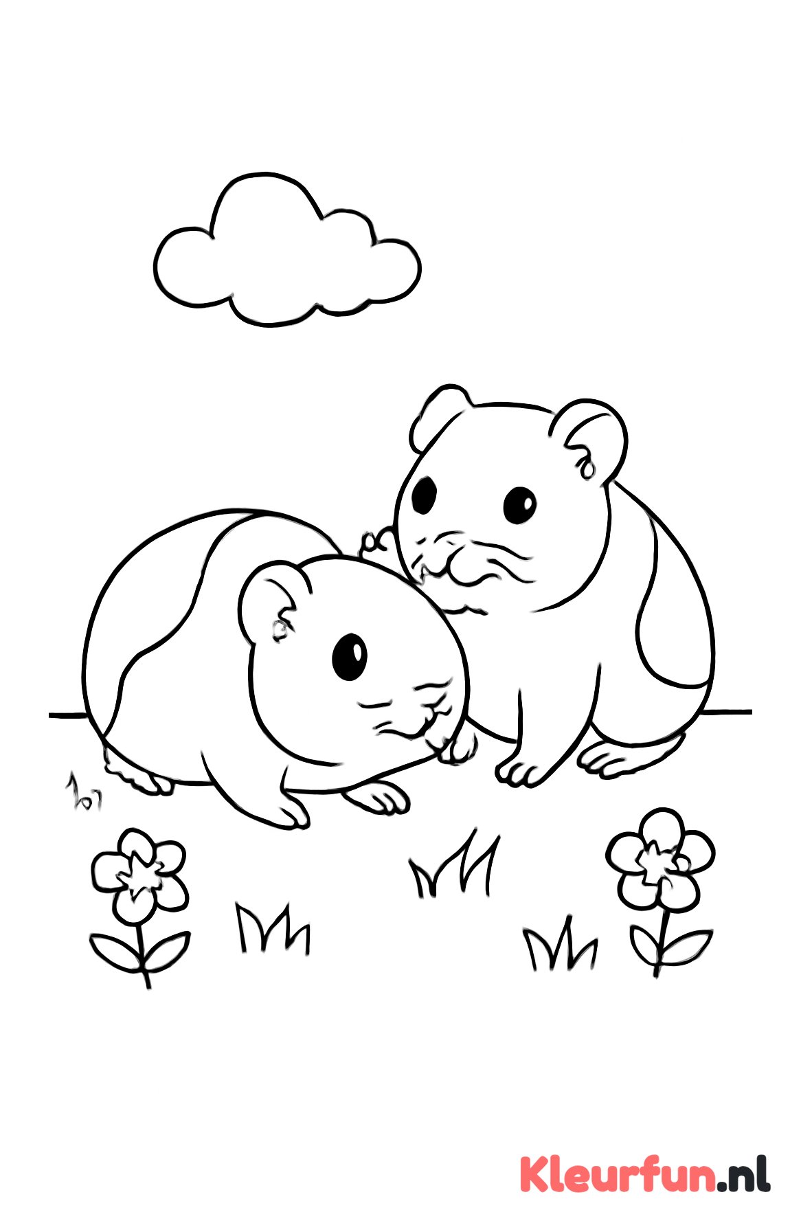 Twee cavia's samen spelen