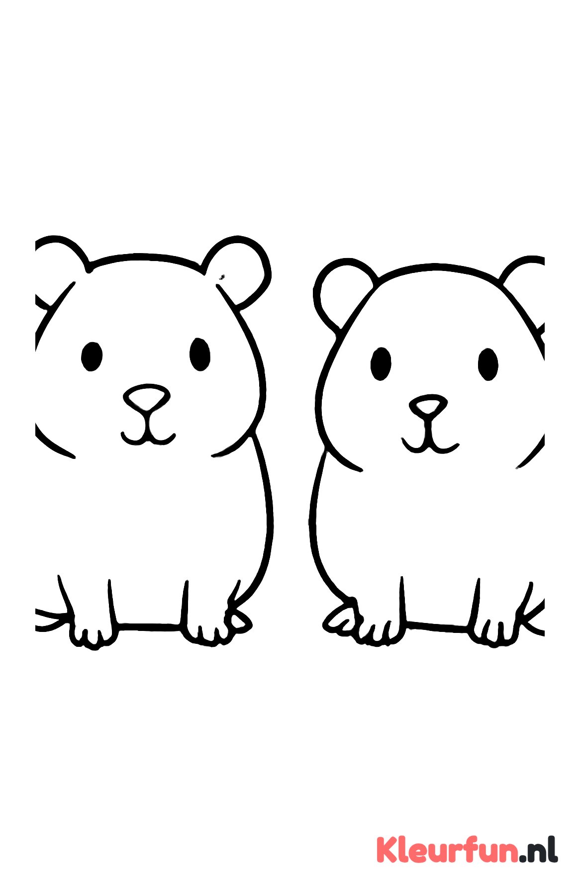 Twee simpele cavia's