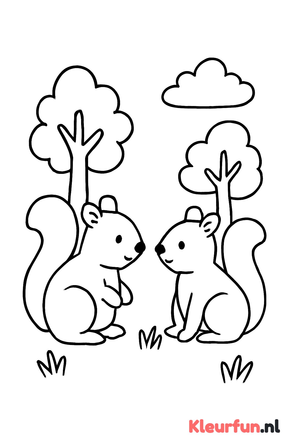 Twee eekhoorns in het bos