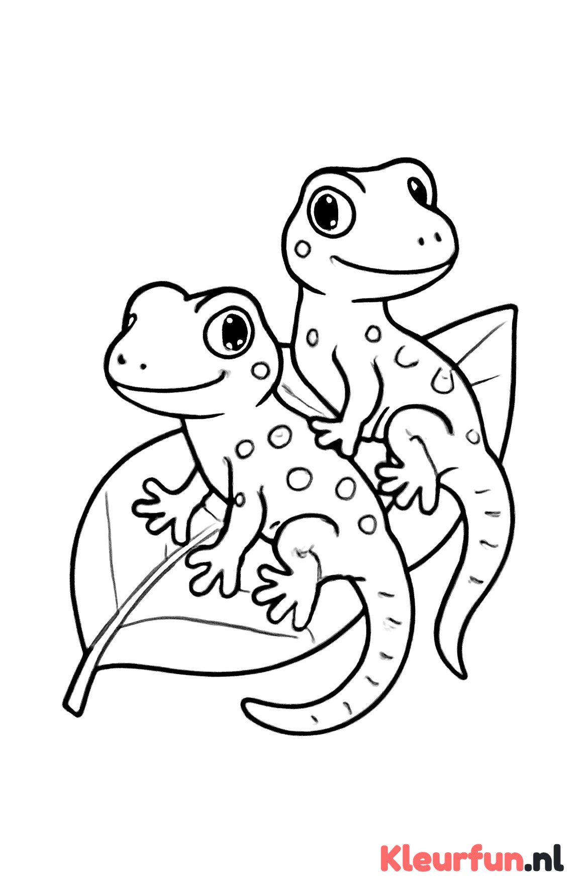 Twee gekko's op blad