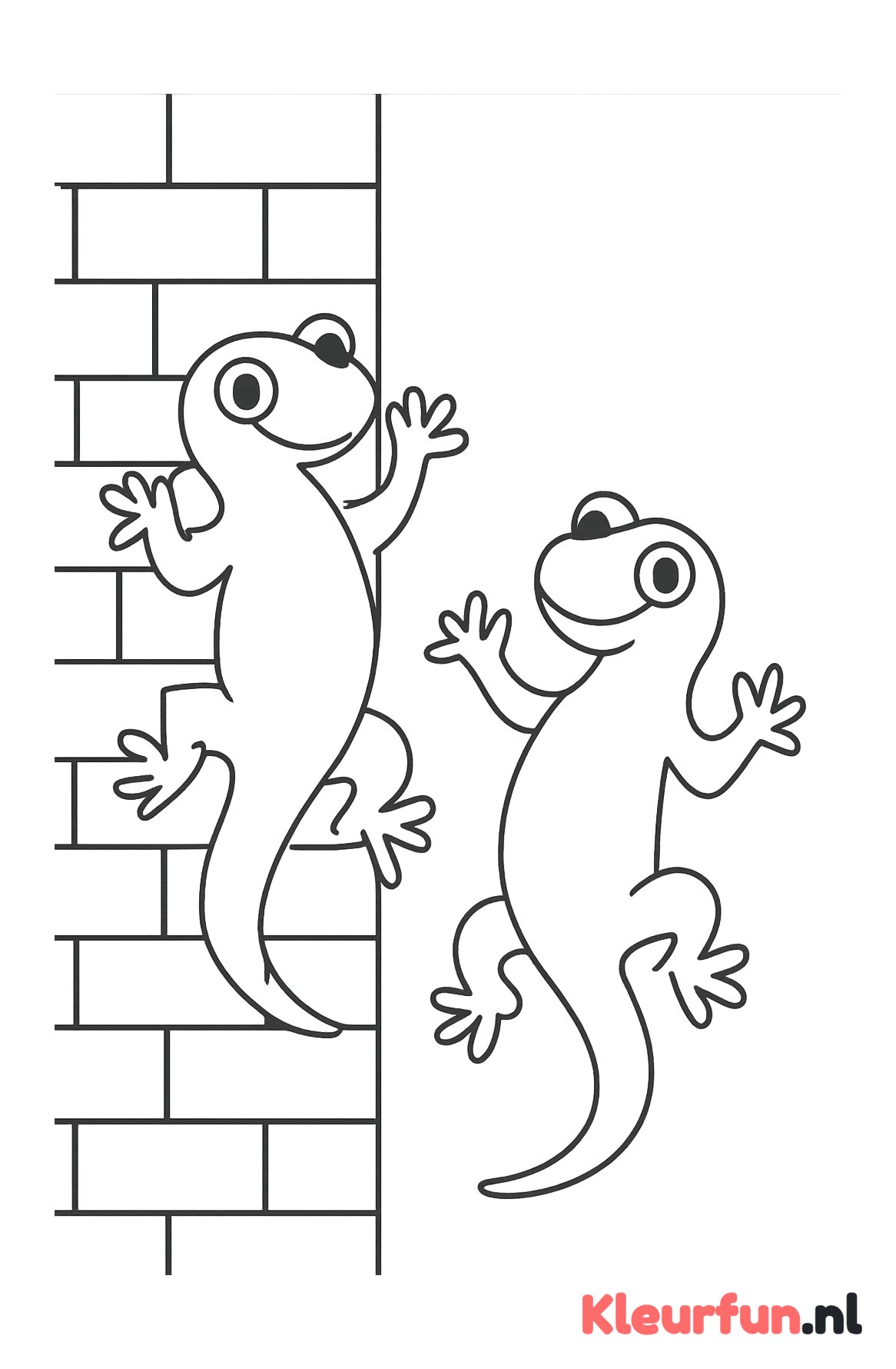 Twee gekko's op muur