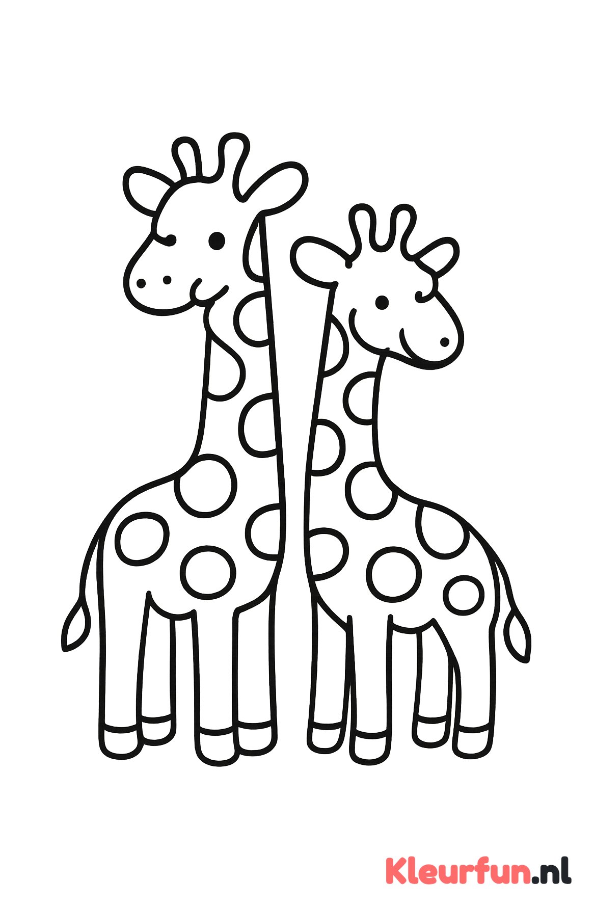 Twee giraffes samen