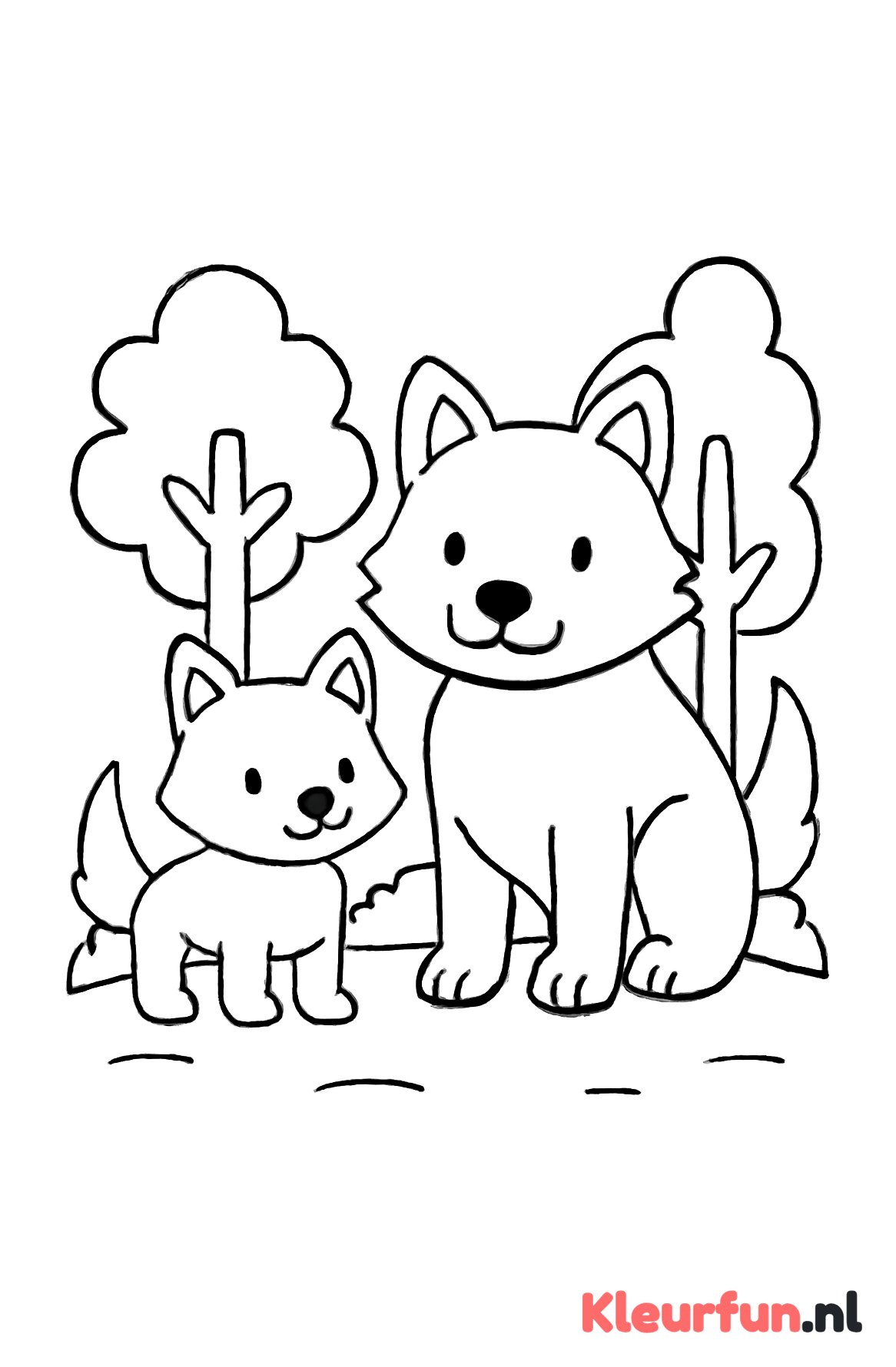 Twee wolven samen