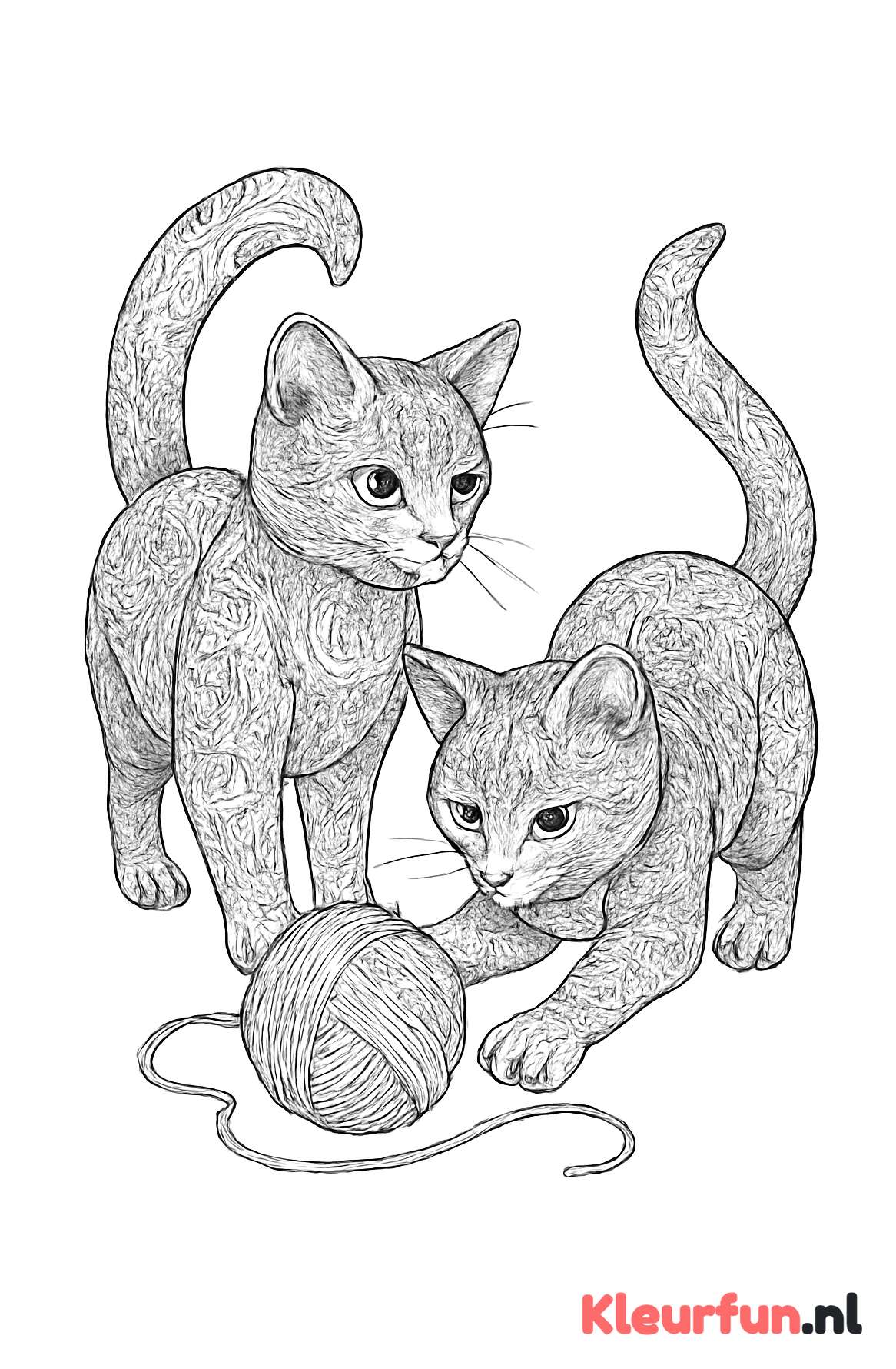 Twee katten met wol