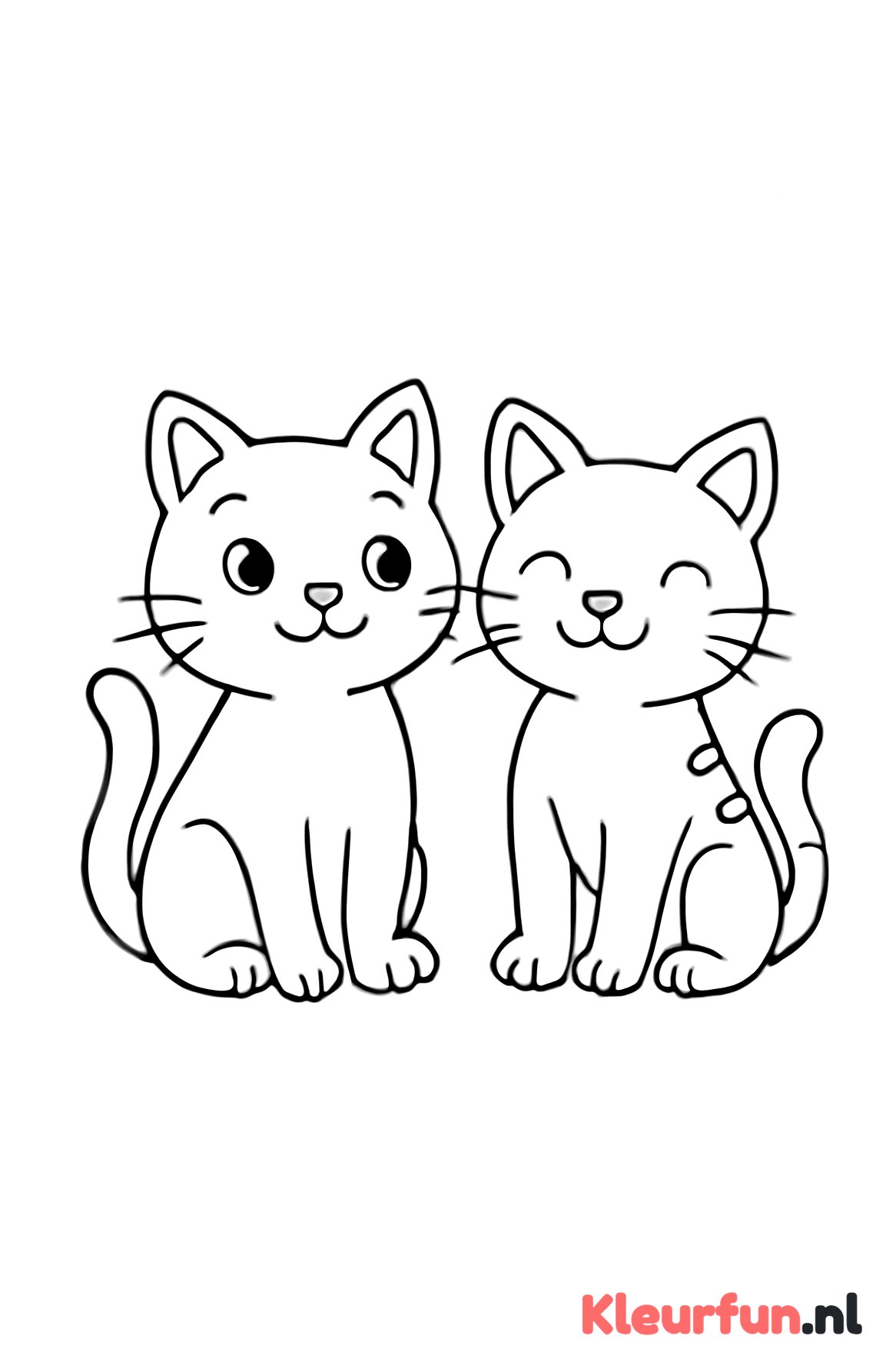 Twee katten naast elkaar