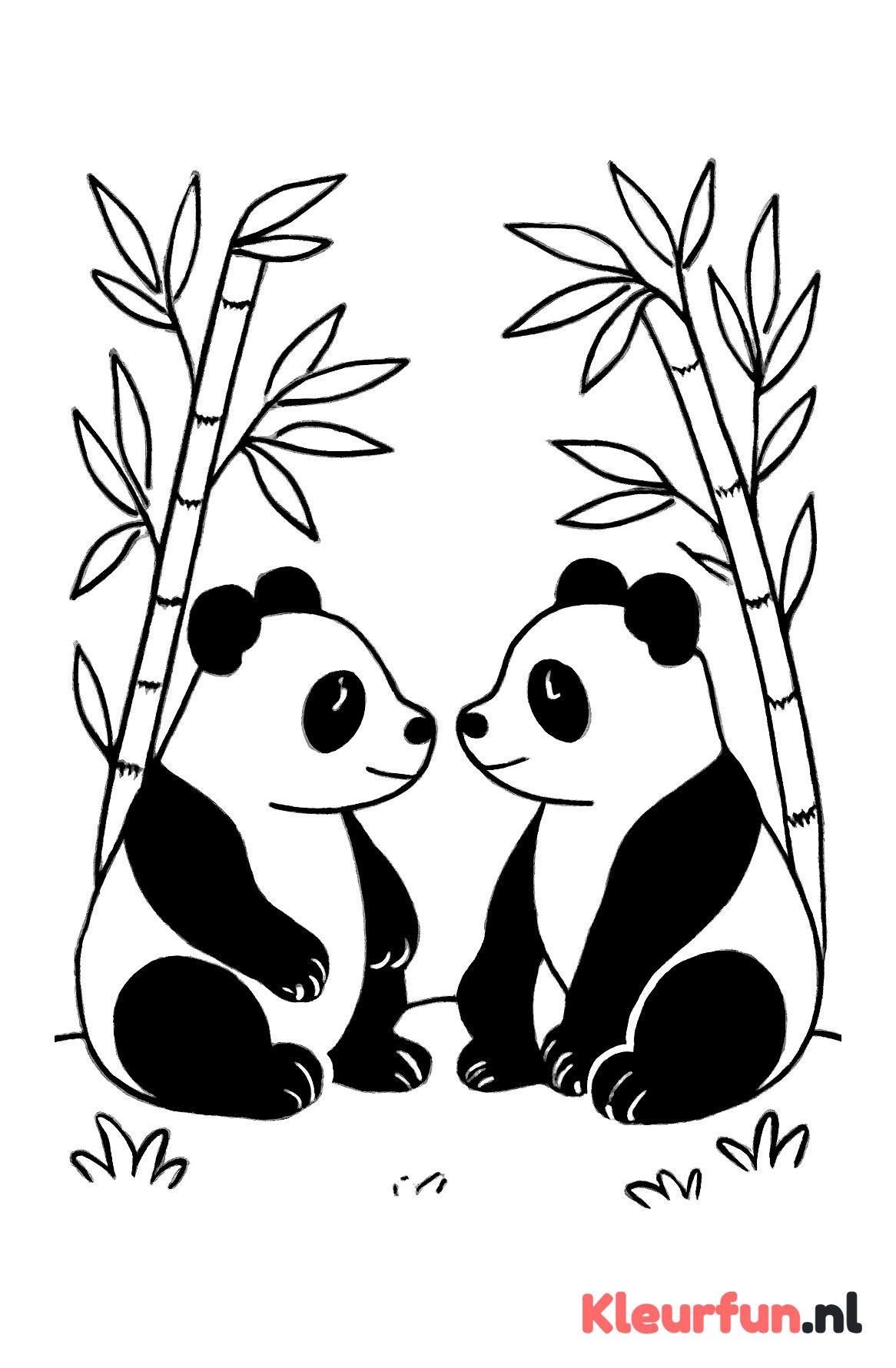 Twee panda's in bamboe