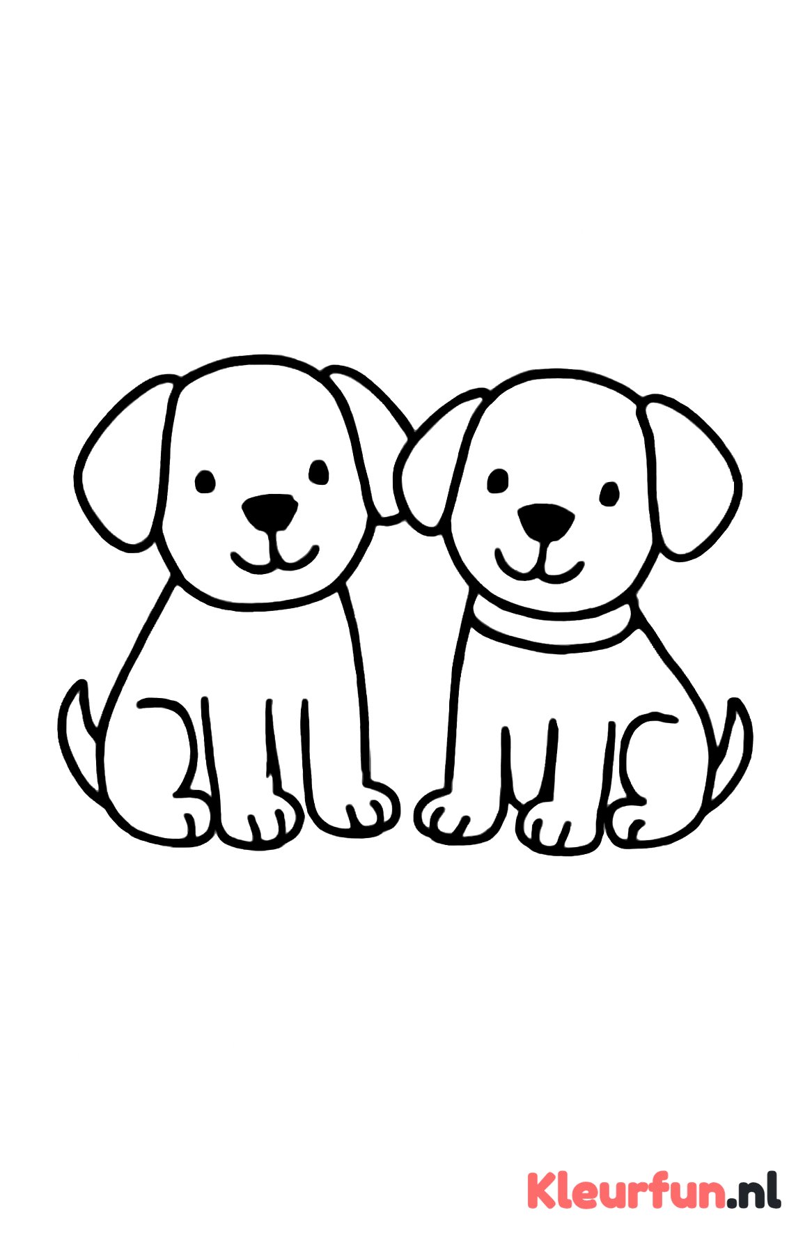 Twee zittende puppies