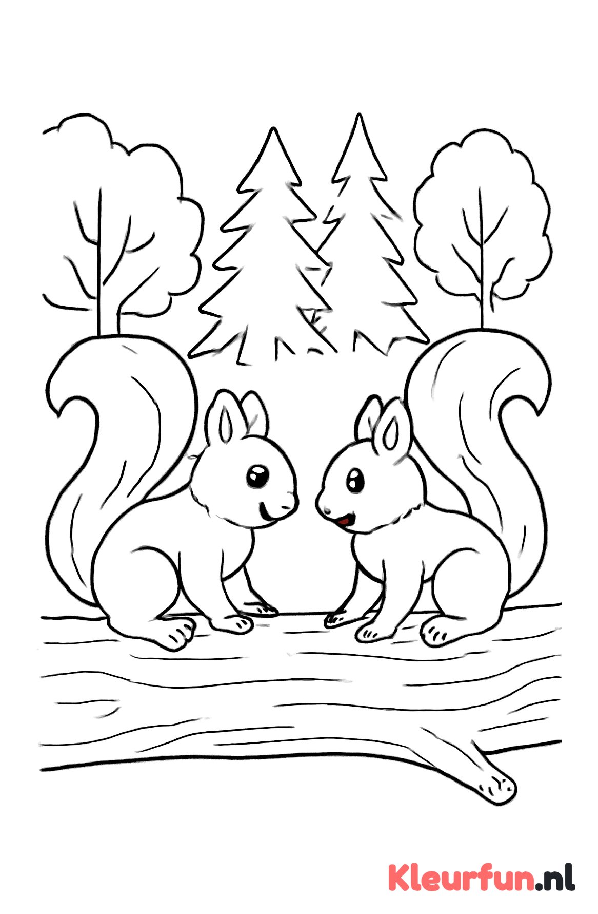 Twee speelse eekhoorns