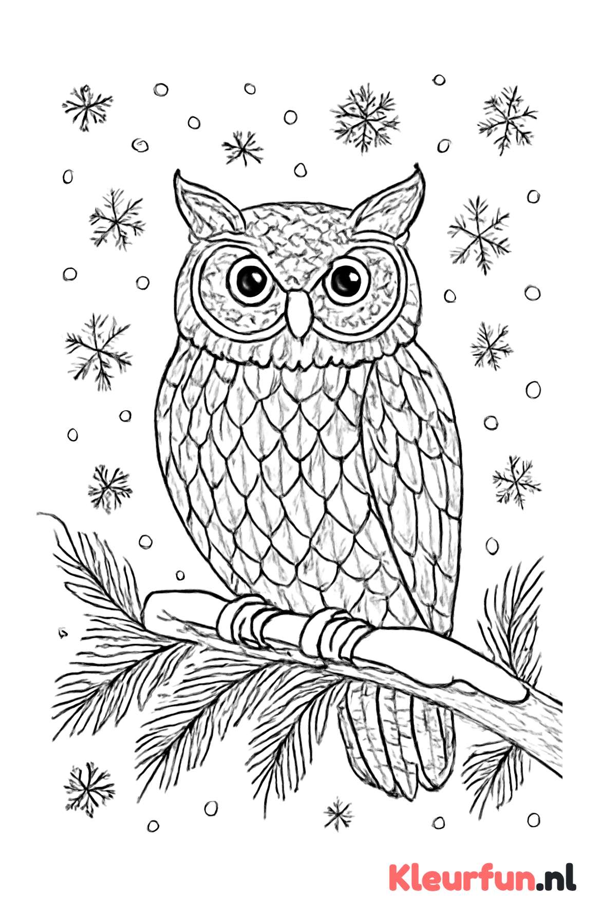 Uil in winterbos