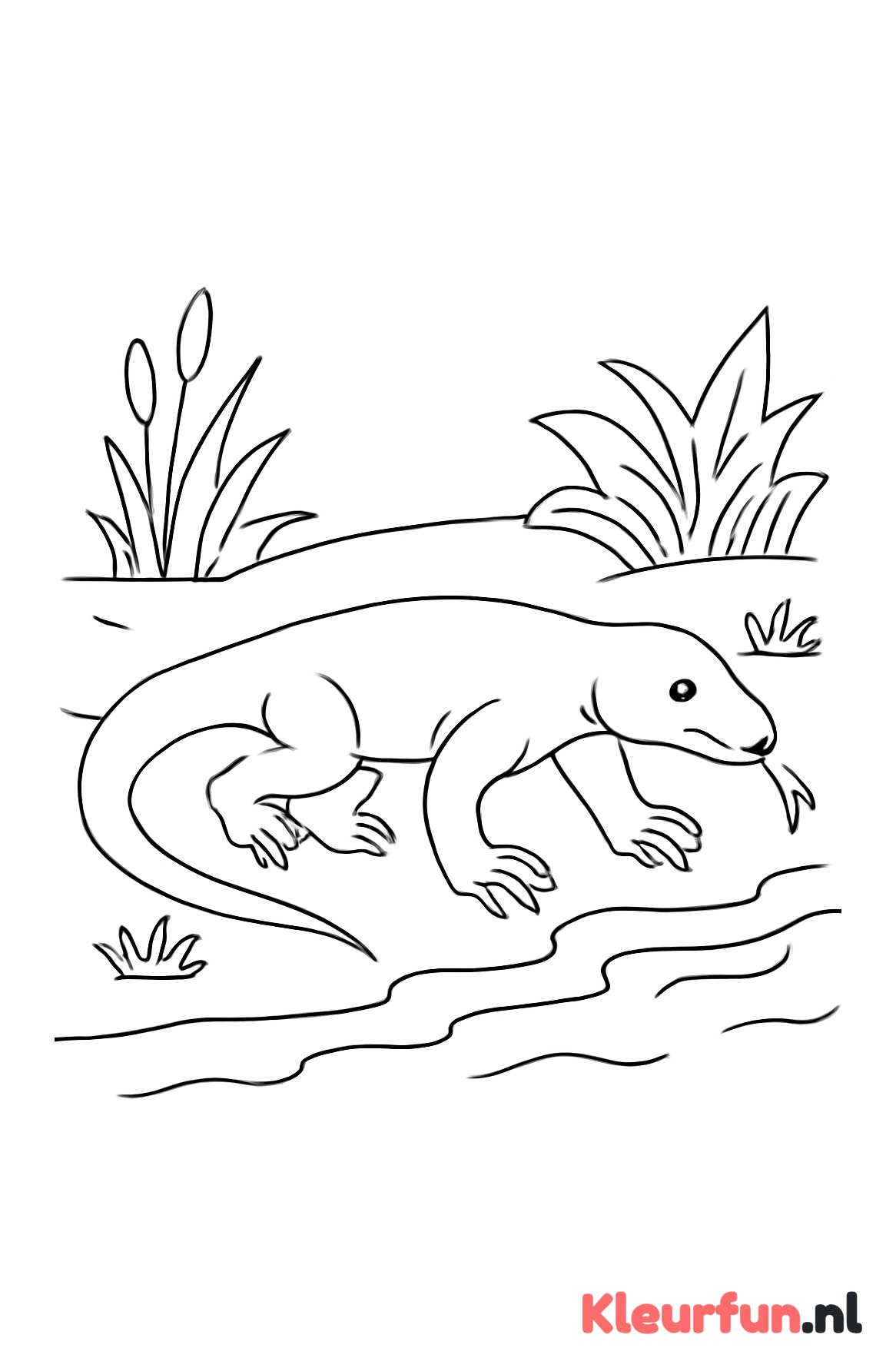 Varaan langs rivier
