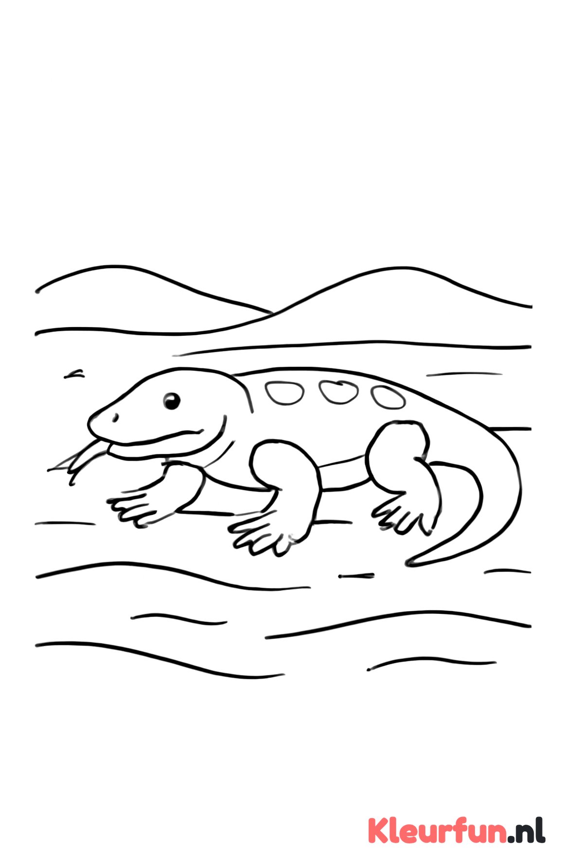 Varaan op het zand