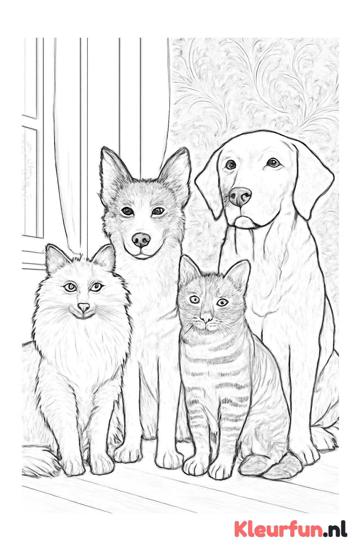 Diverse rassen poezen en honden samen