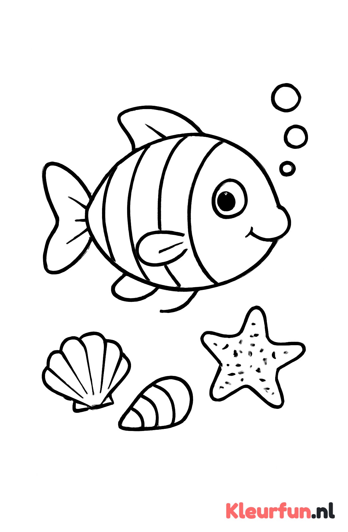 Vis en schelpen