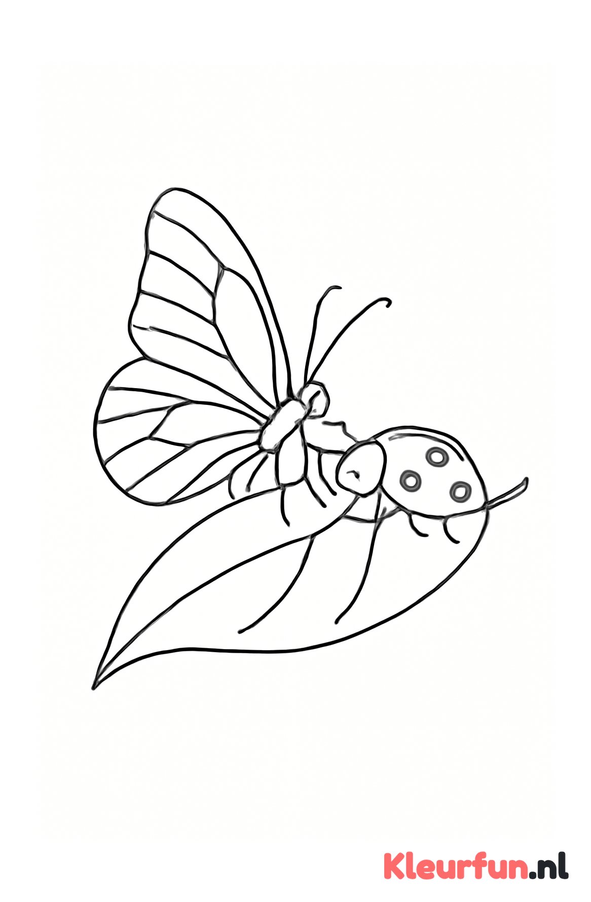 Vlinder en lieveheersbeestje op blad