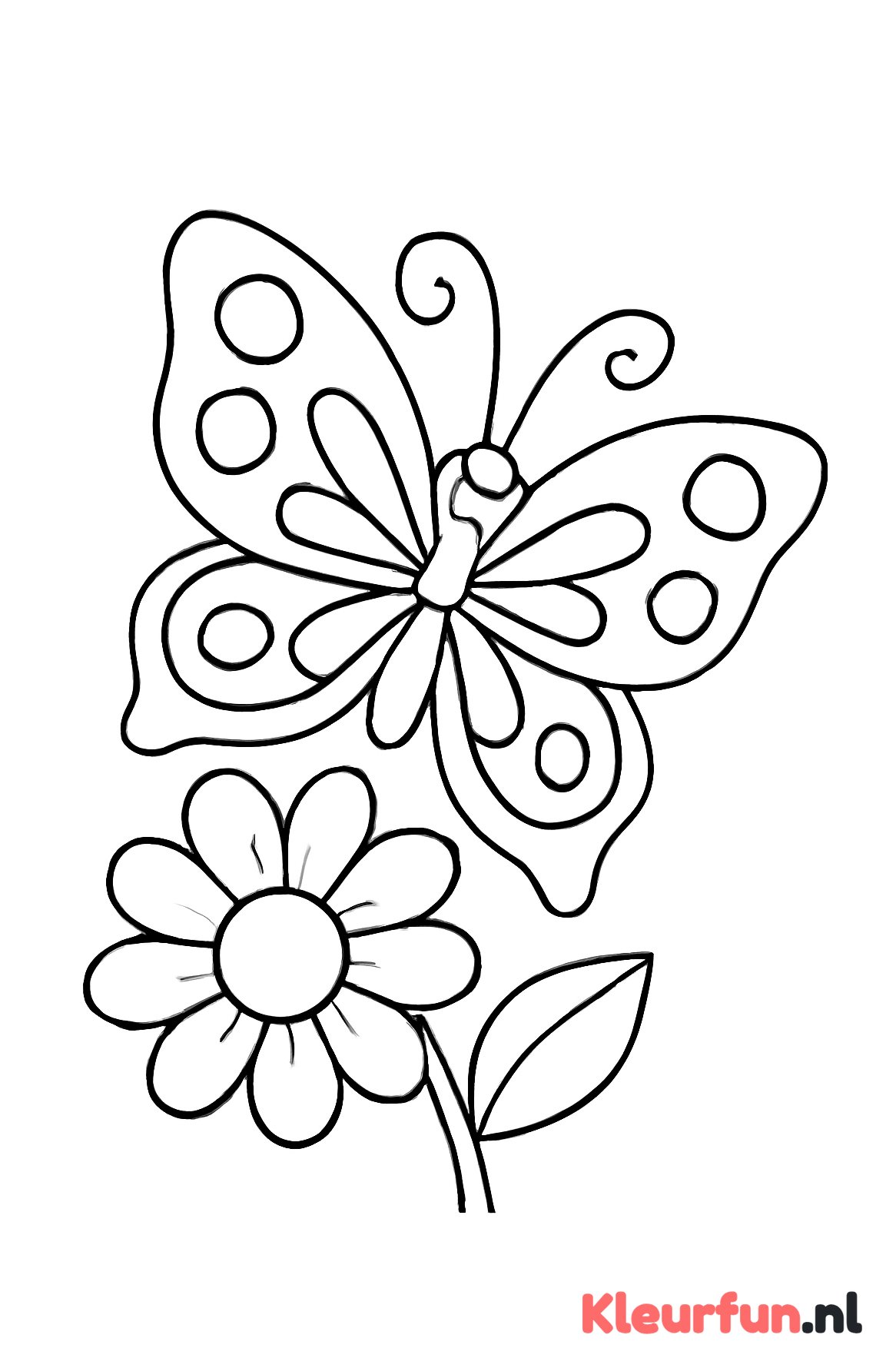 Vlinder en grote bloem