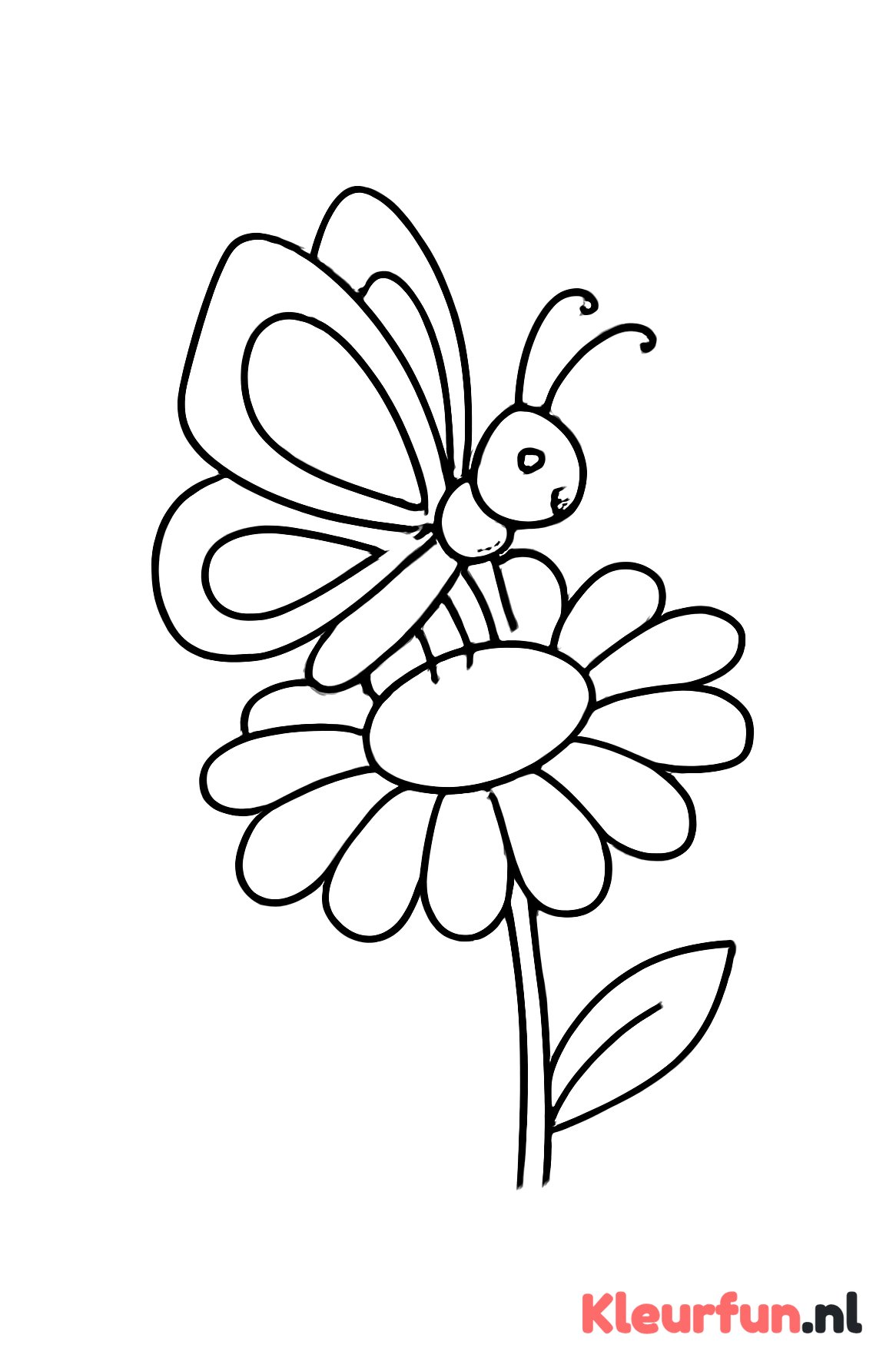 Vlinder landt op bloem
