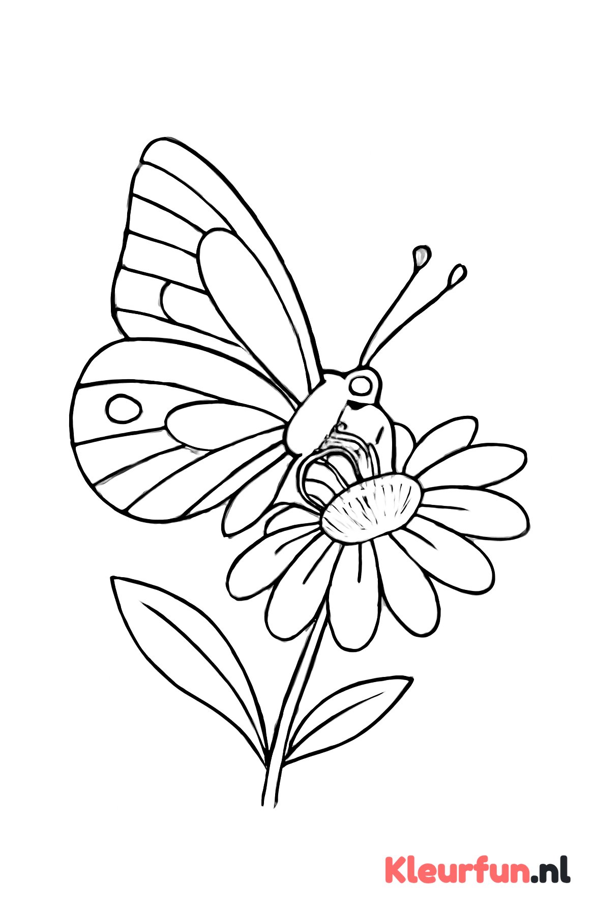 Vlinder die nectar uit bloem zuigt