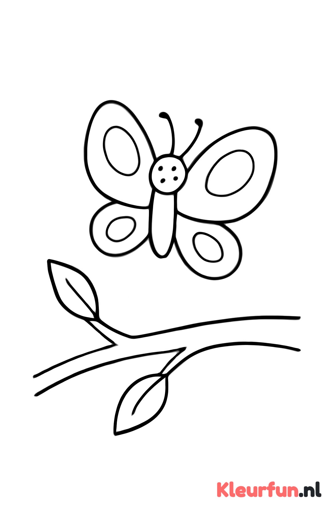 Vlinder in vlucht
