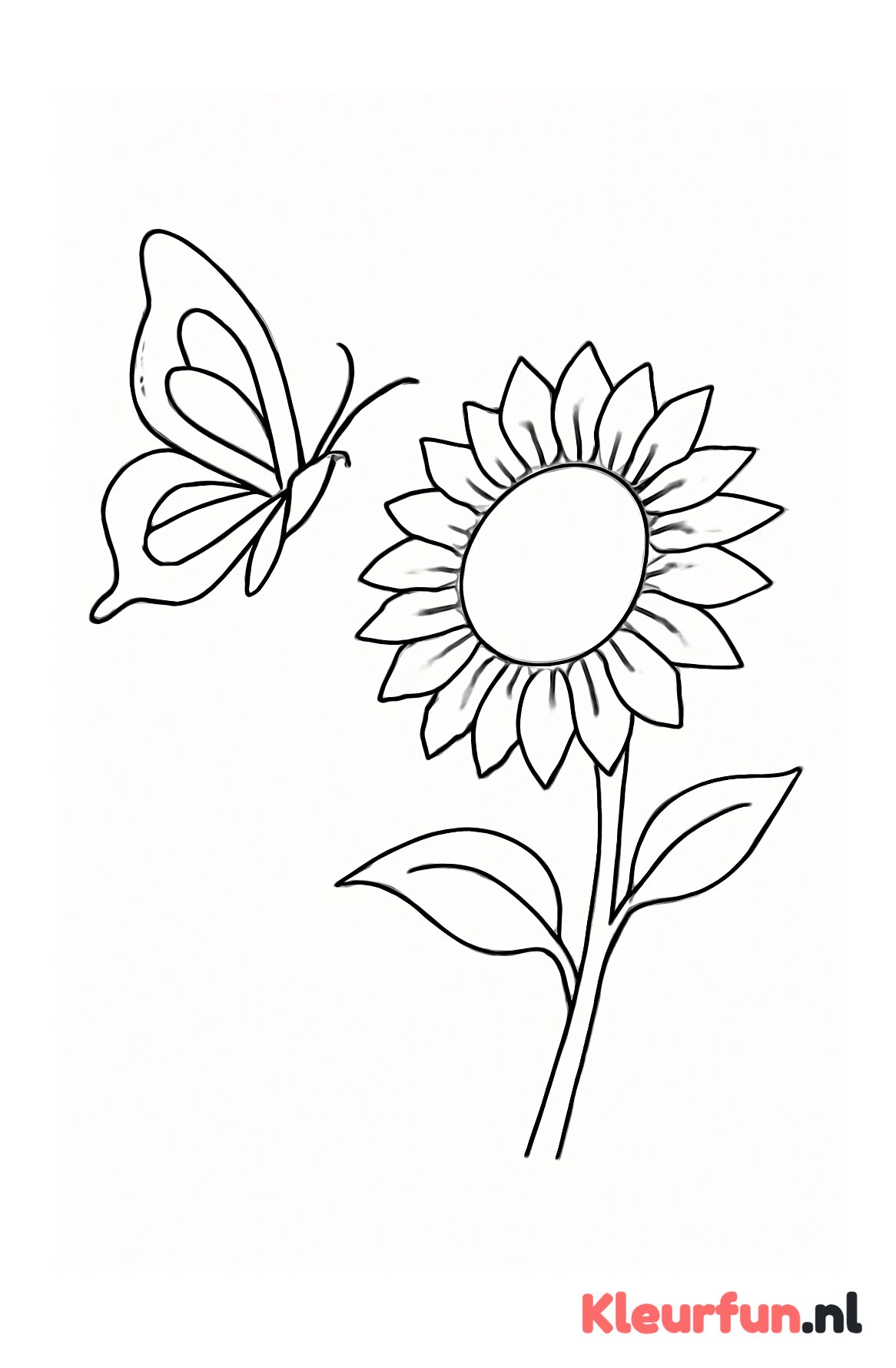 Vlinder rond zonnebloem