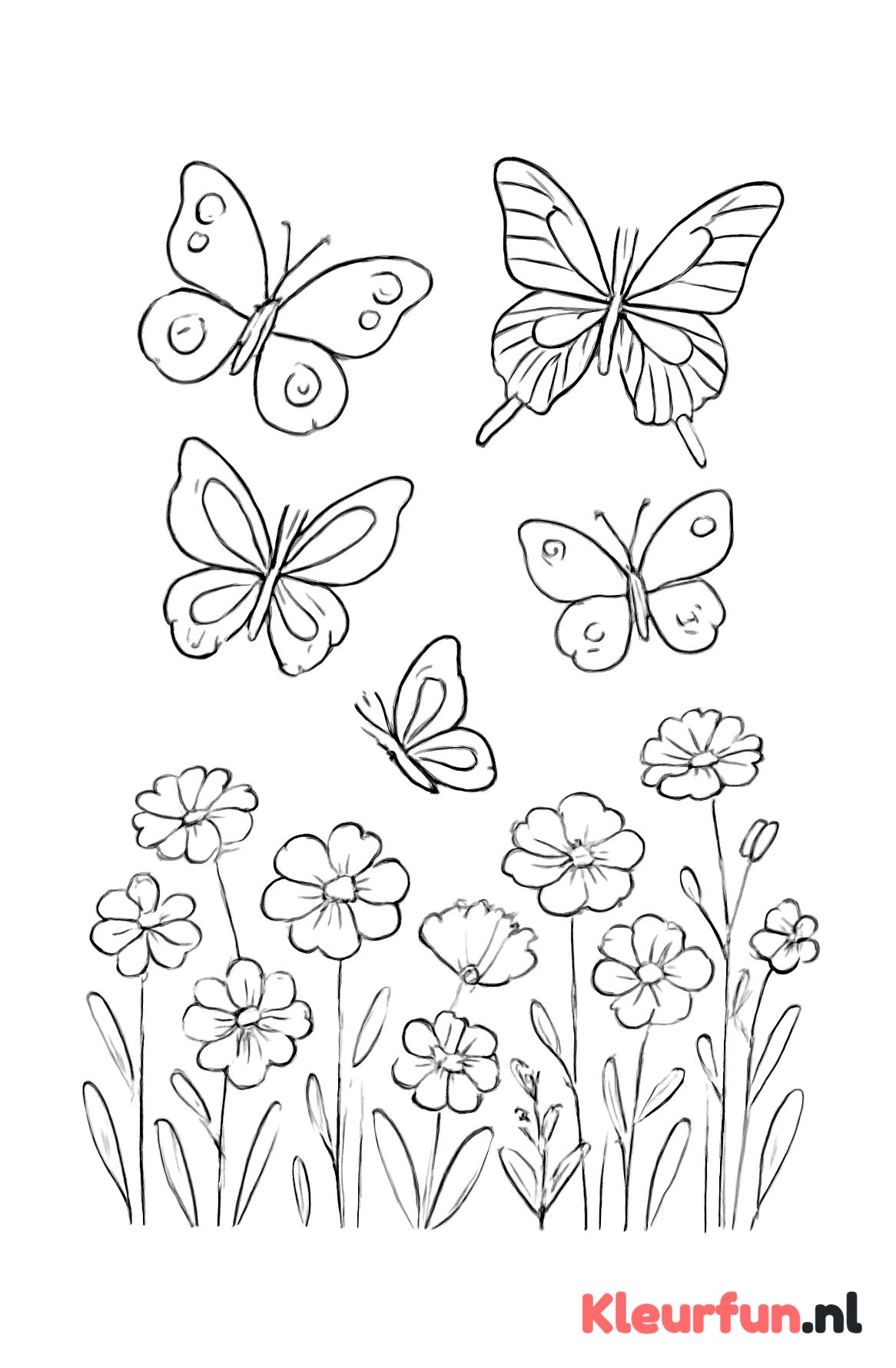 Vlinders boven bloemenveld