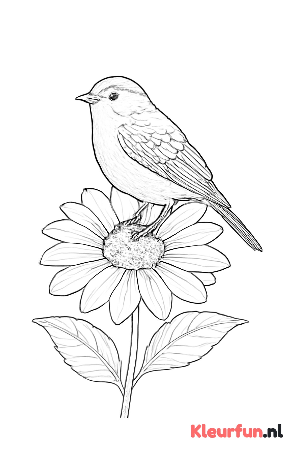 Vogel op bloem