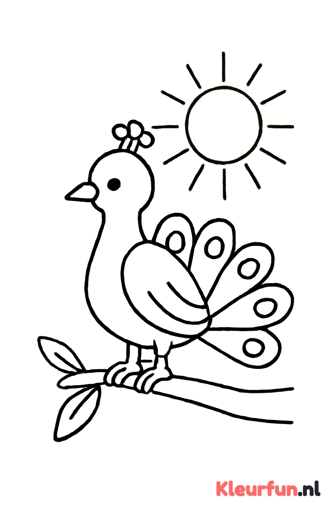 Vogel op tak met zon
