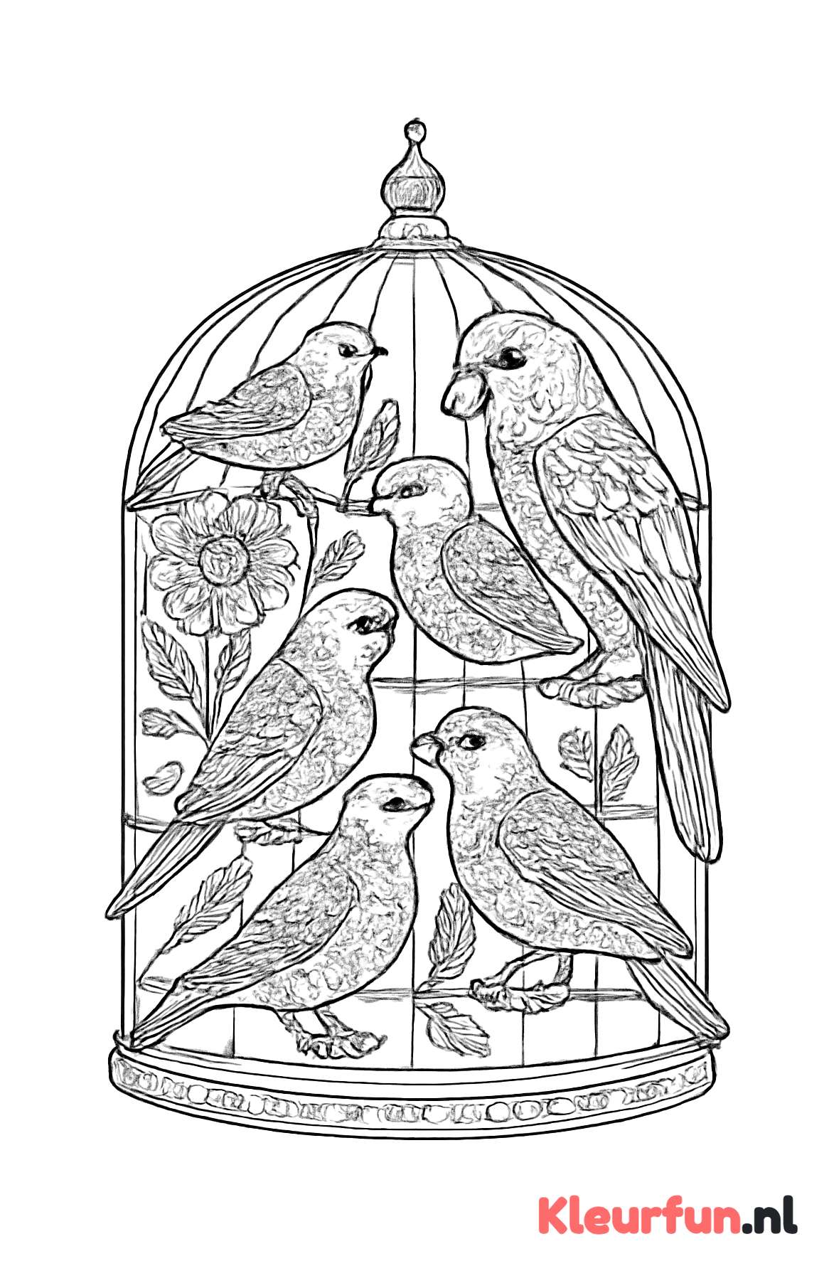 Vogelkooi met diverse huisvogels