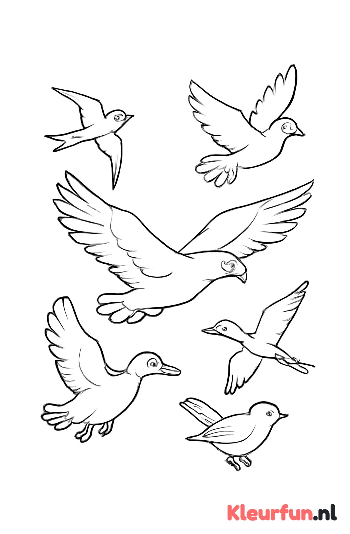 Vogelvlucht