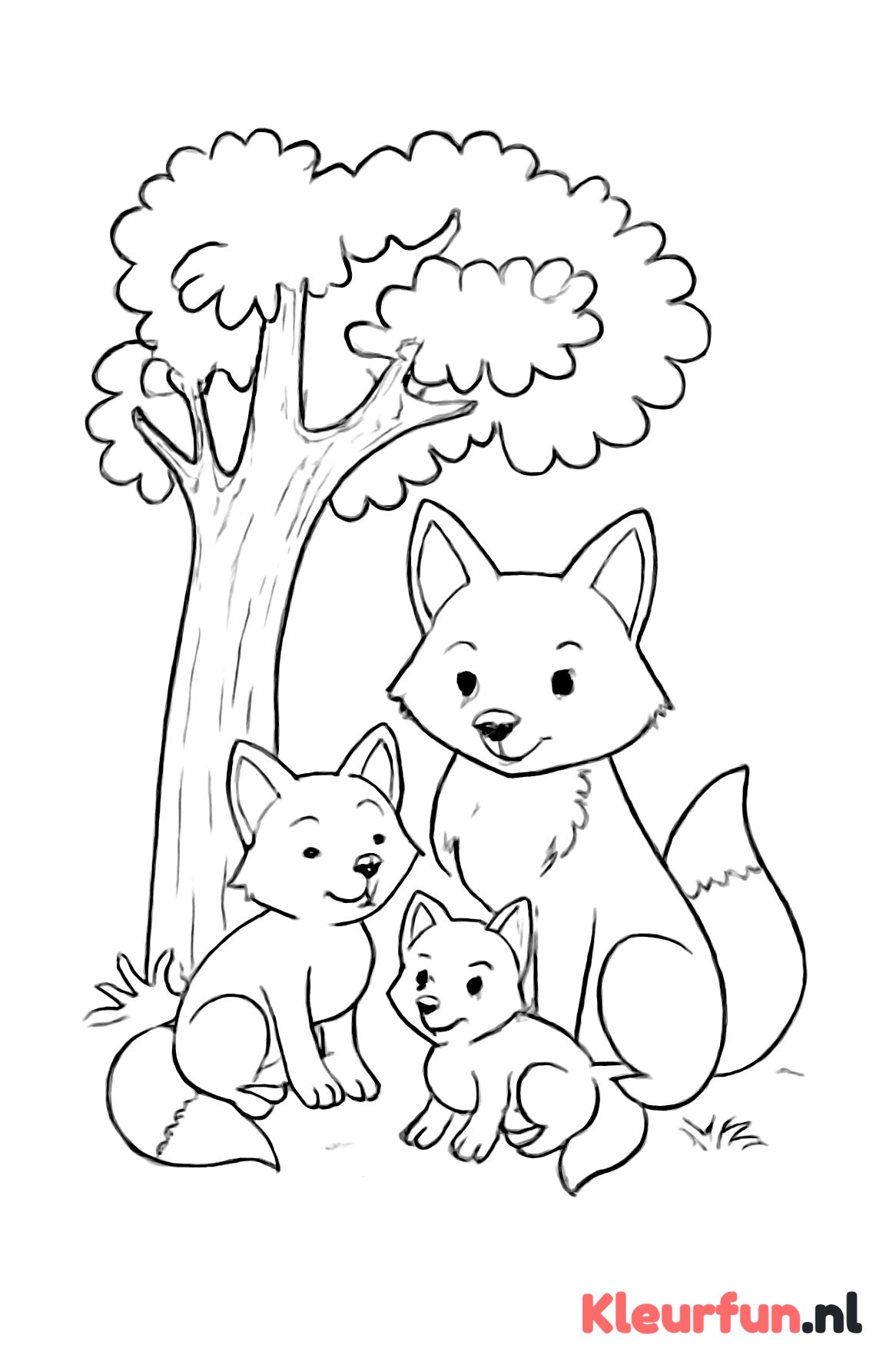 Vosfamilie bij eikenboom