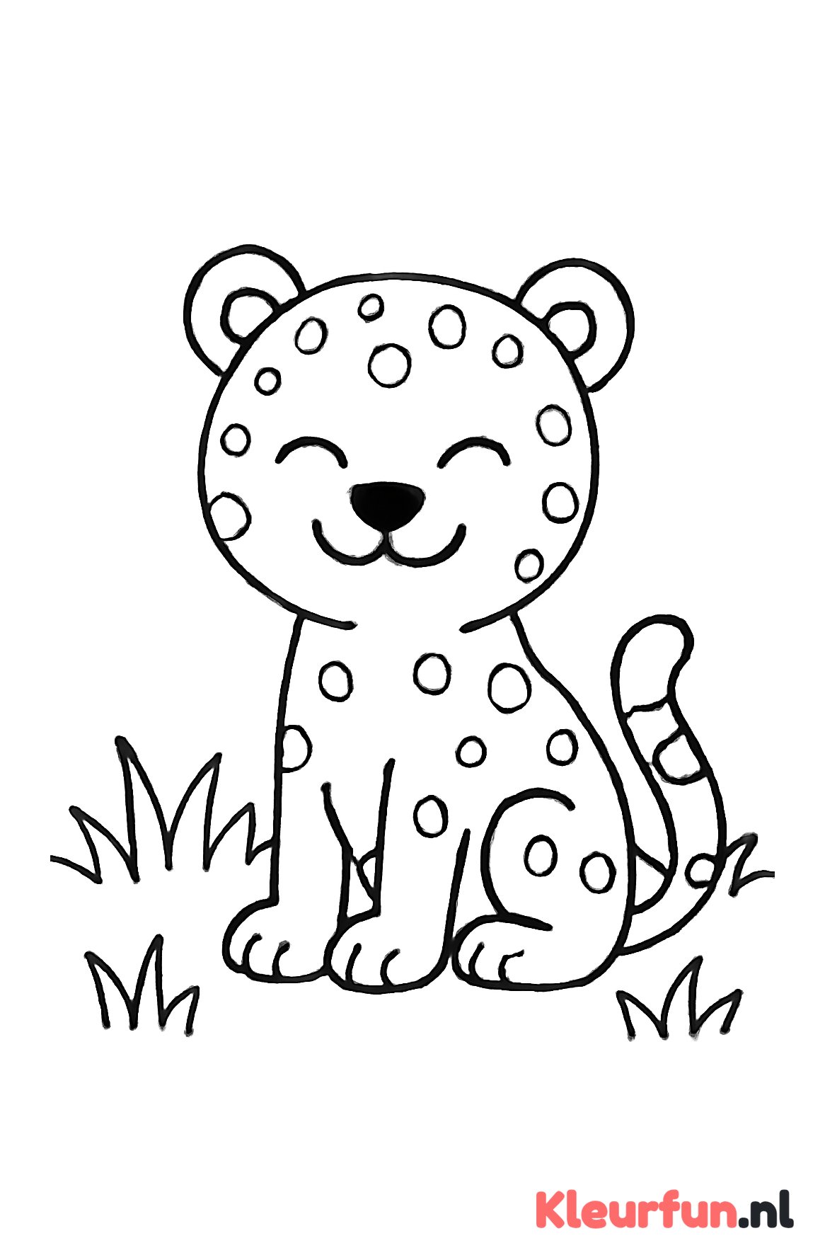 Vrolijke cheetah zittend in gras