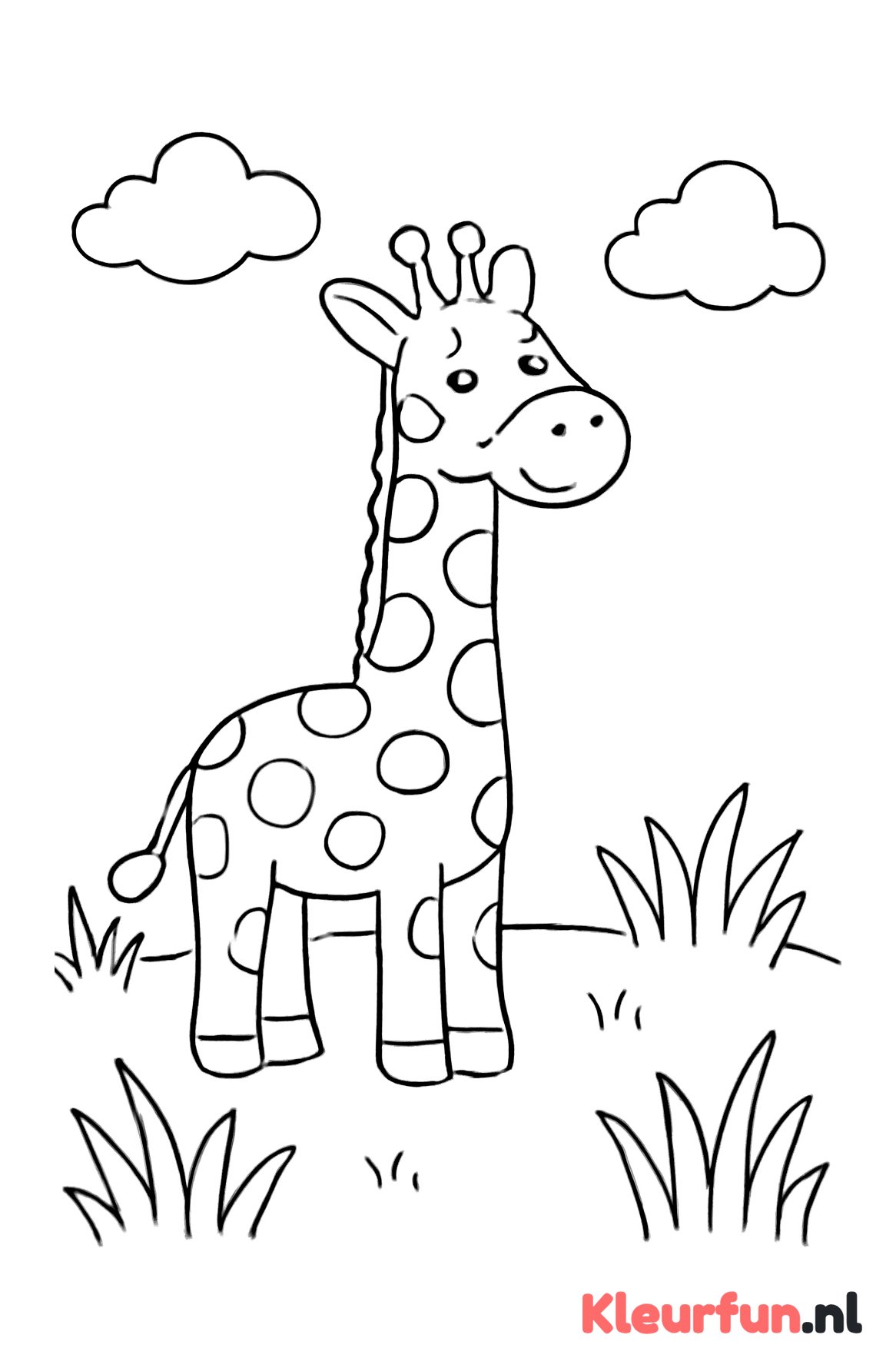 Vrolijke giraffe in het gras