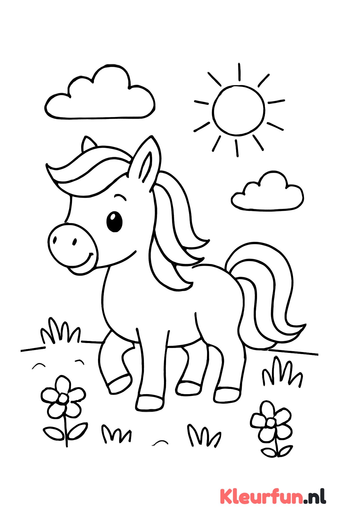 Vrolijke pony in de wei