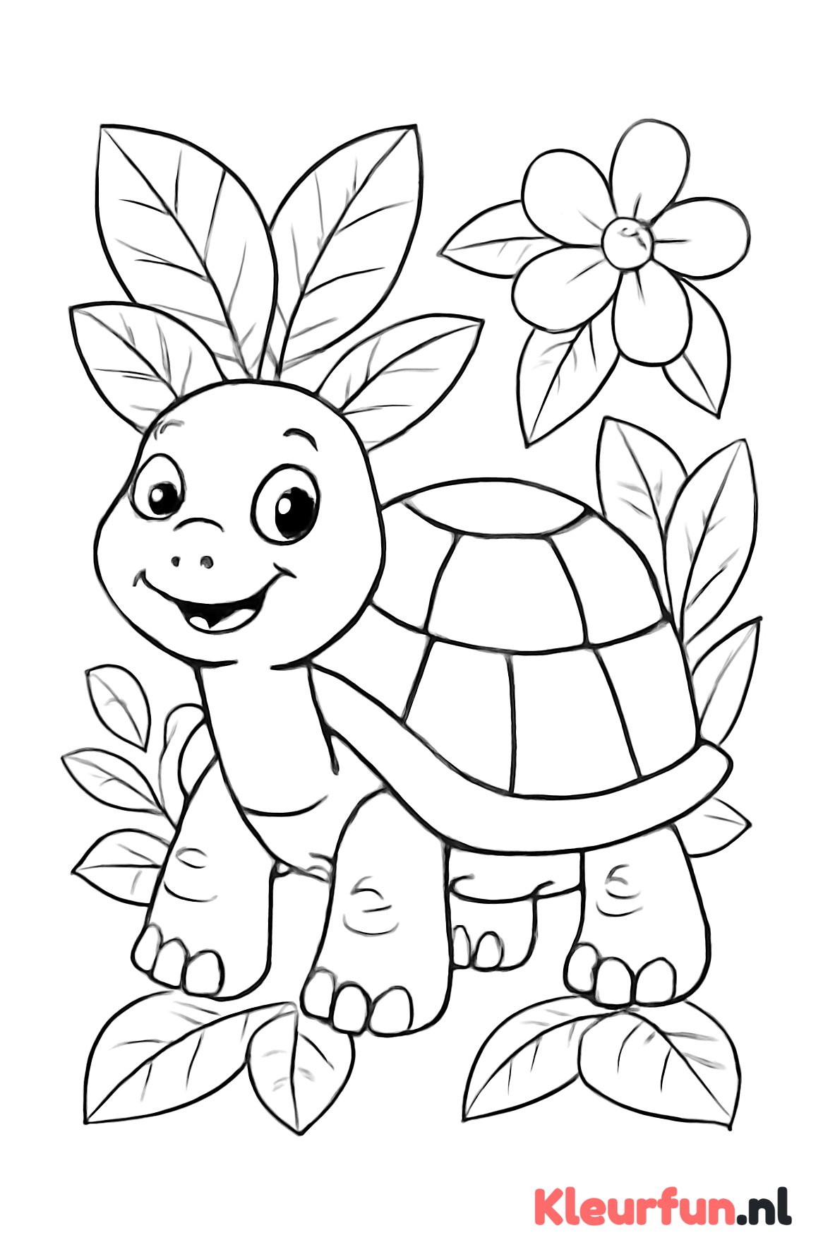 Vrolijke schildpad met groot schild