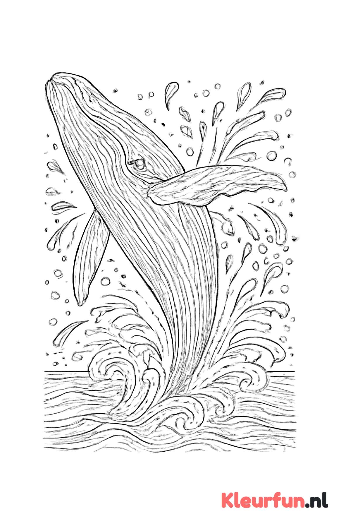 Walvis uit het water springend