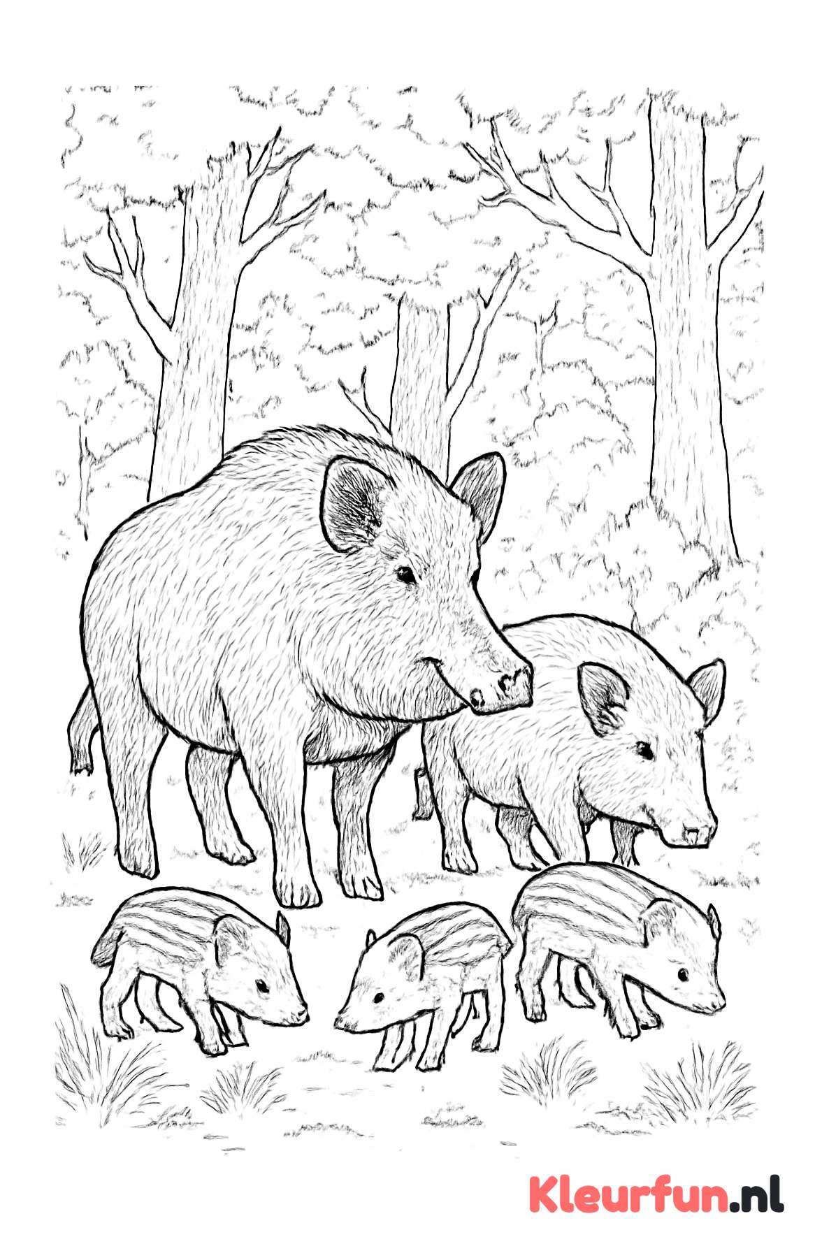 Wilde zwijnen familie in het bos