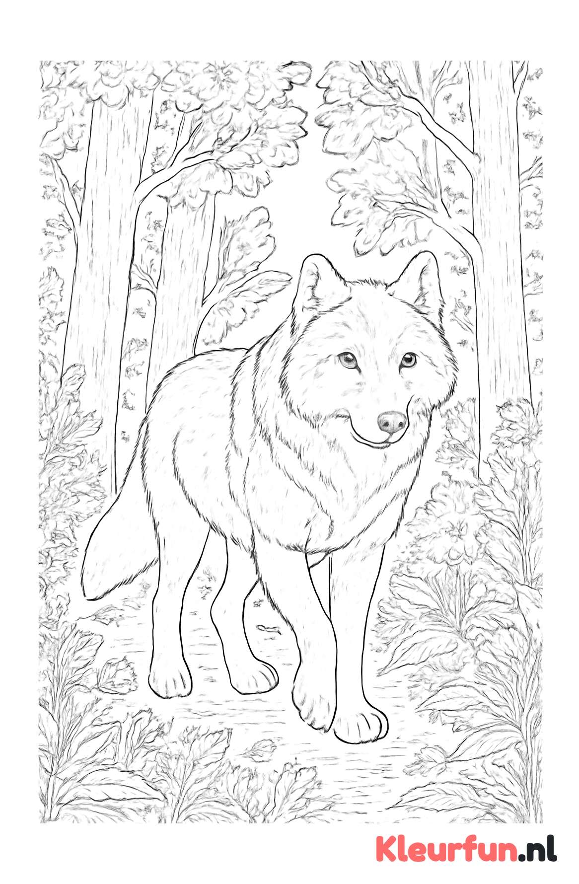 Wolf in het bos