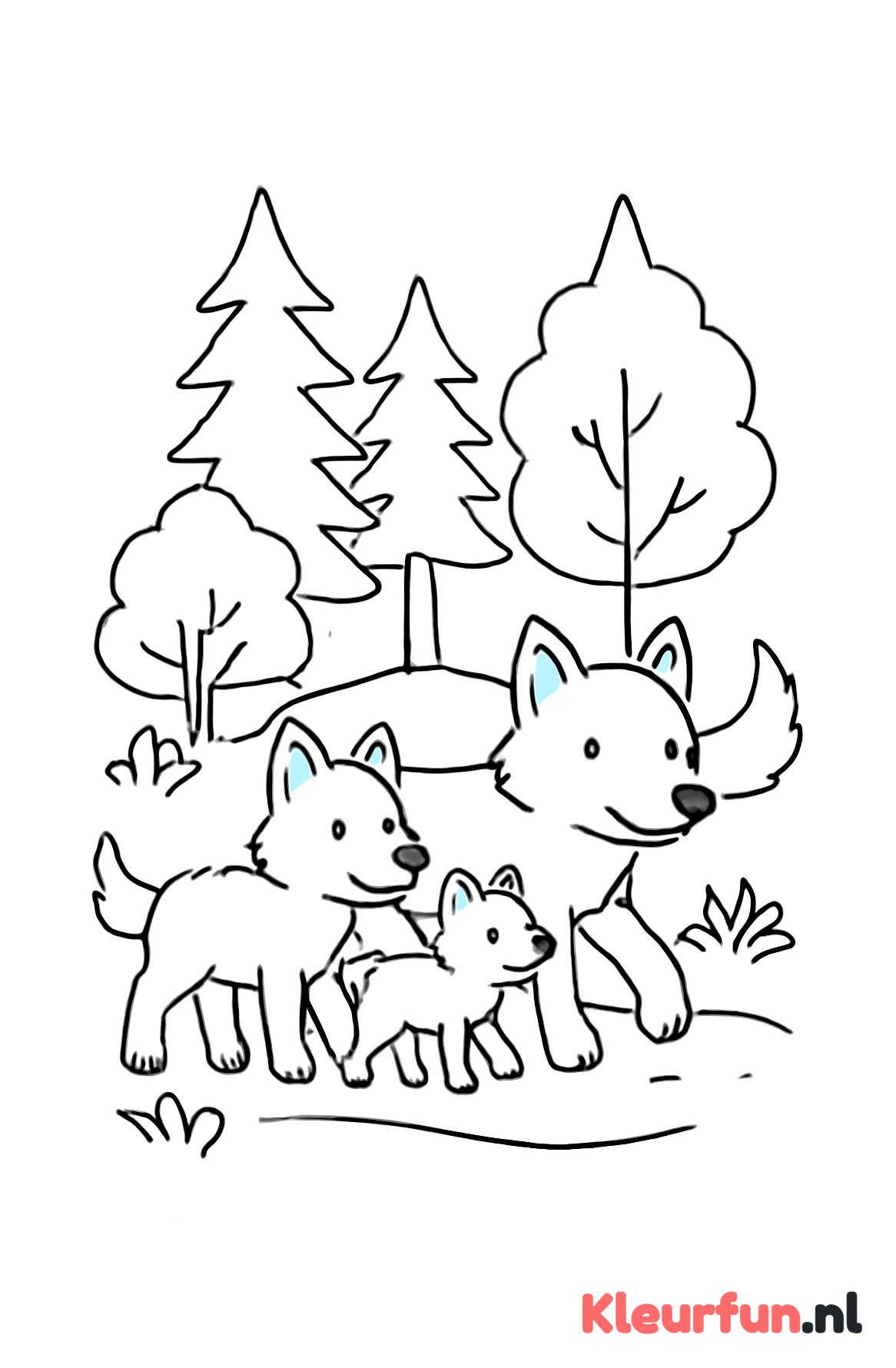 Wolvenfamilie wandelt in het bos