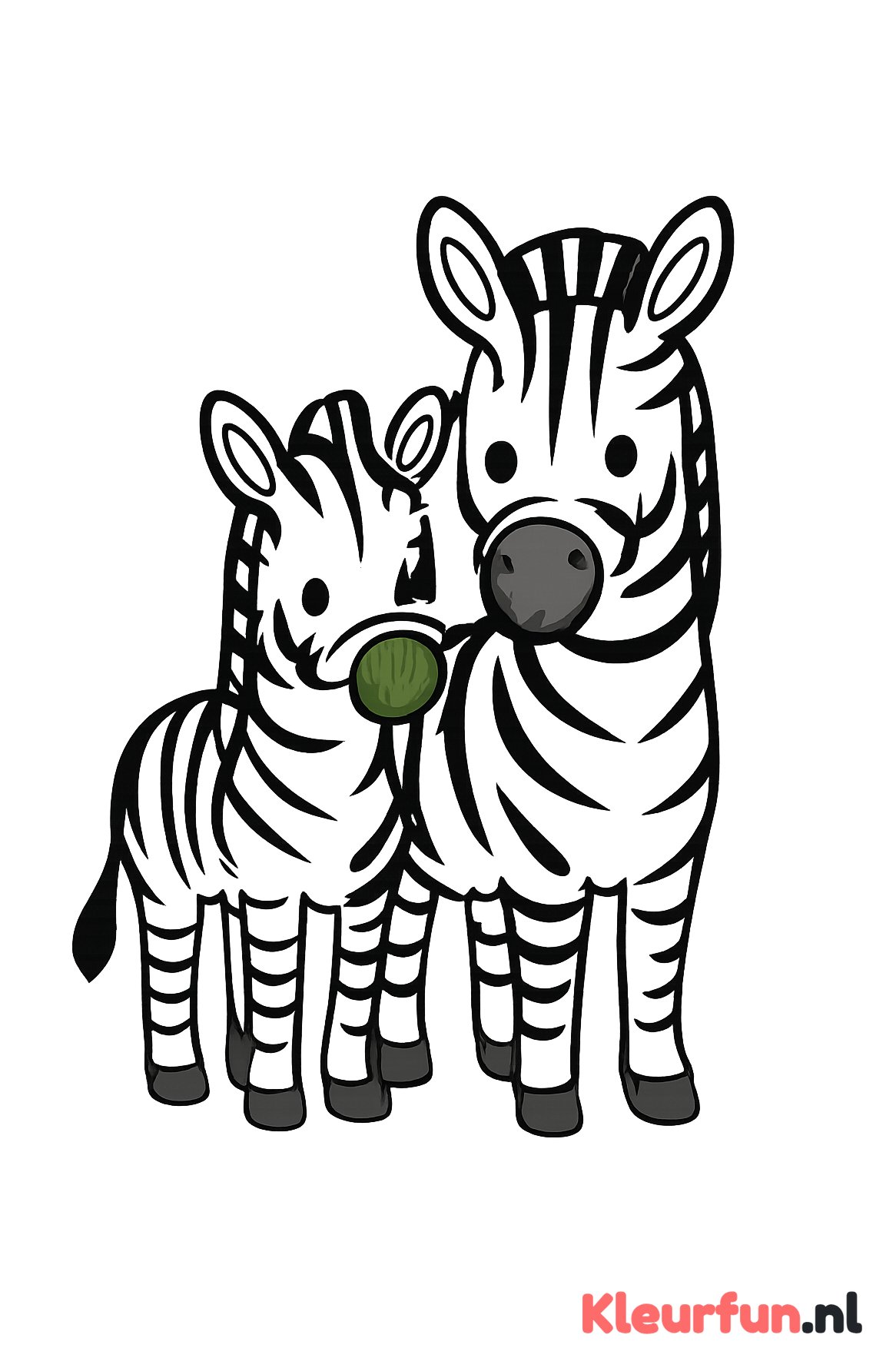 Zebra met baby zebra