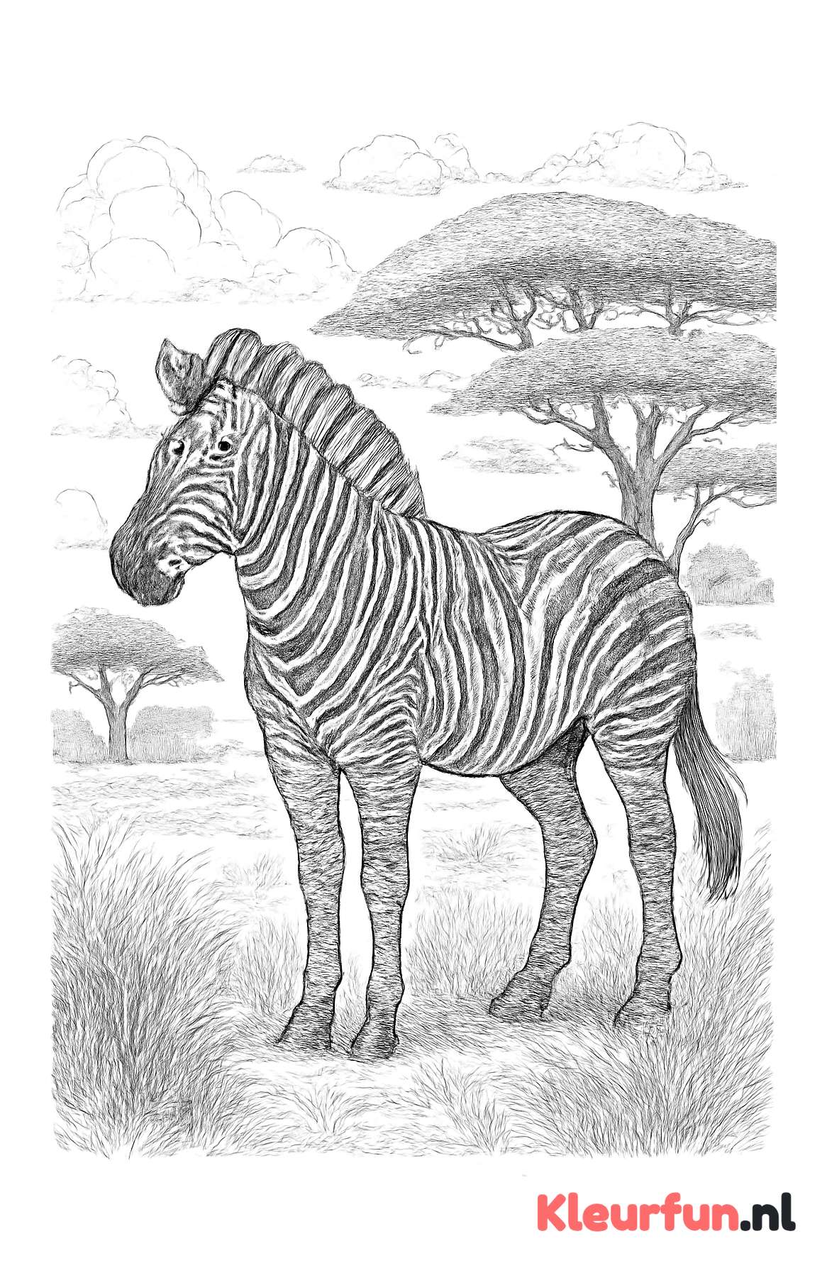 Gedetailleerde zebra met savanne achtergrond